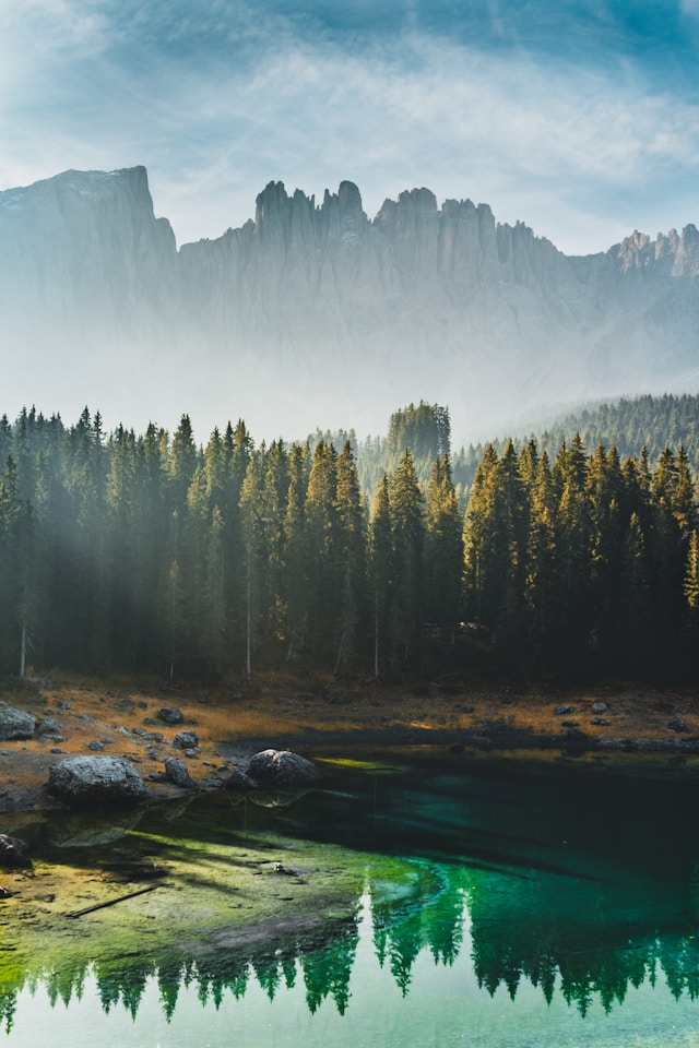 An illustrative photo of green pine trees near lake.