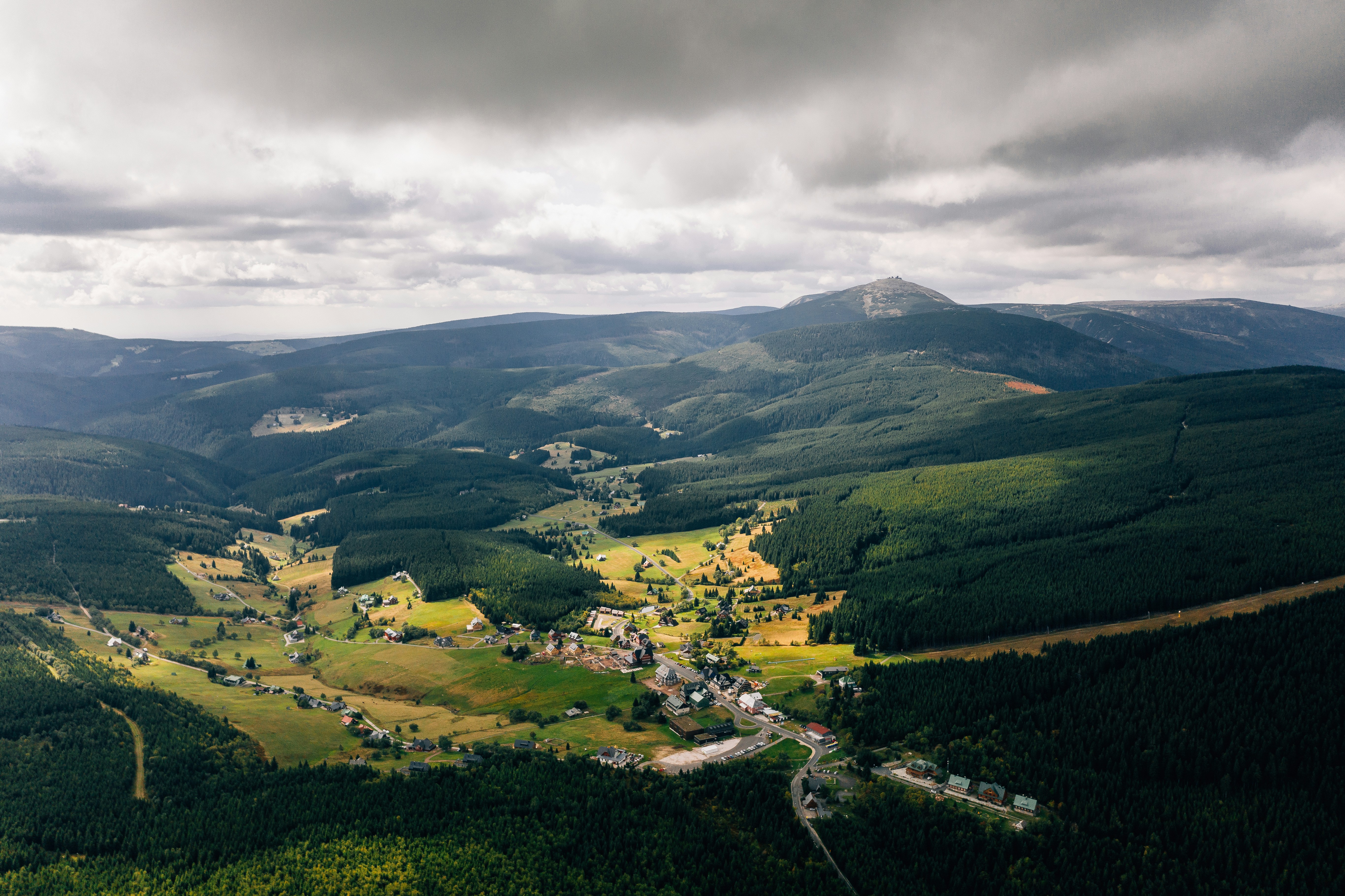 An illustrative photo of green field during daytime.