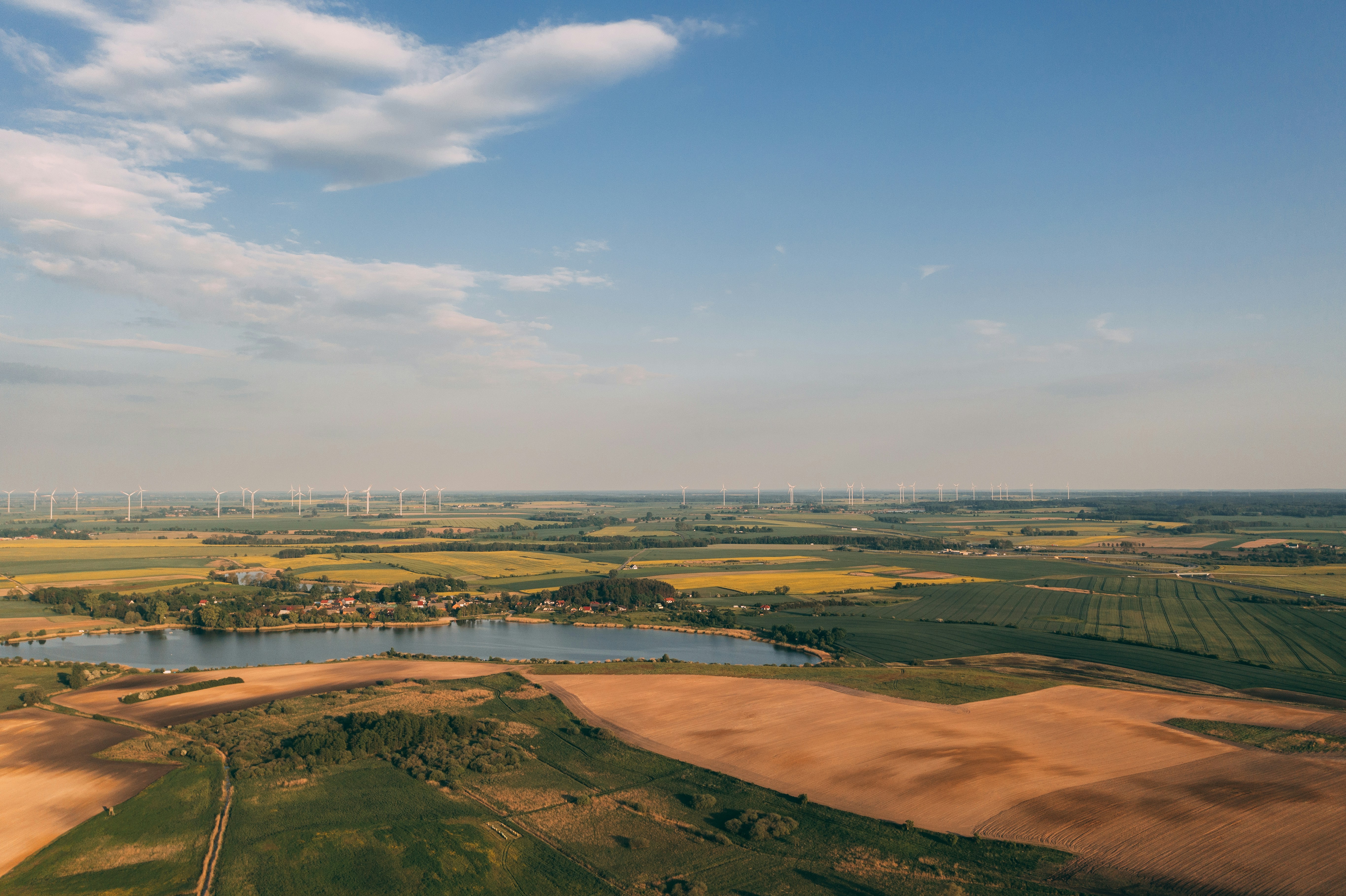 An illustrative photo of green grass field near body of water.