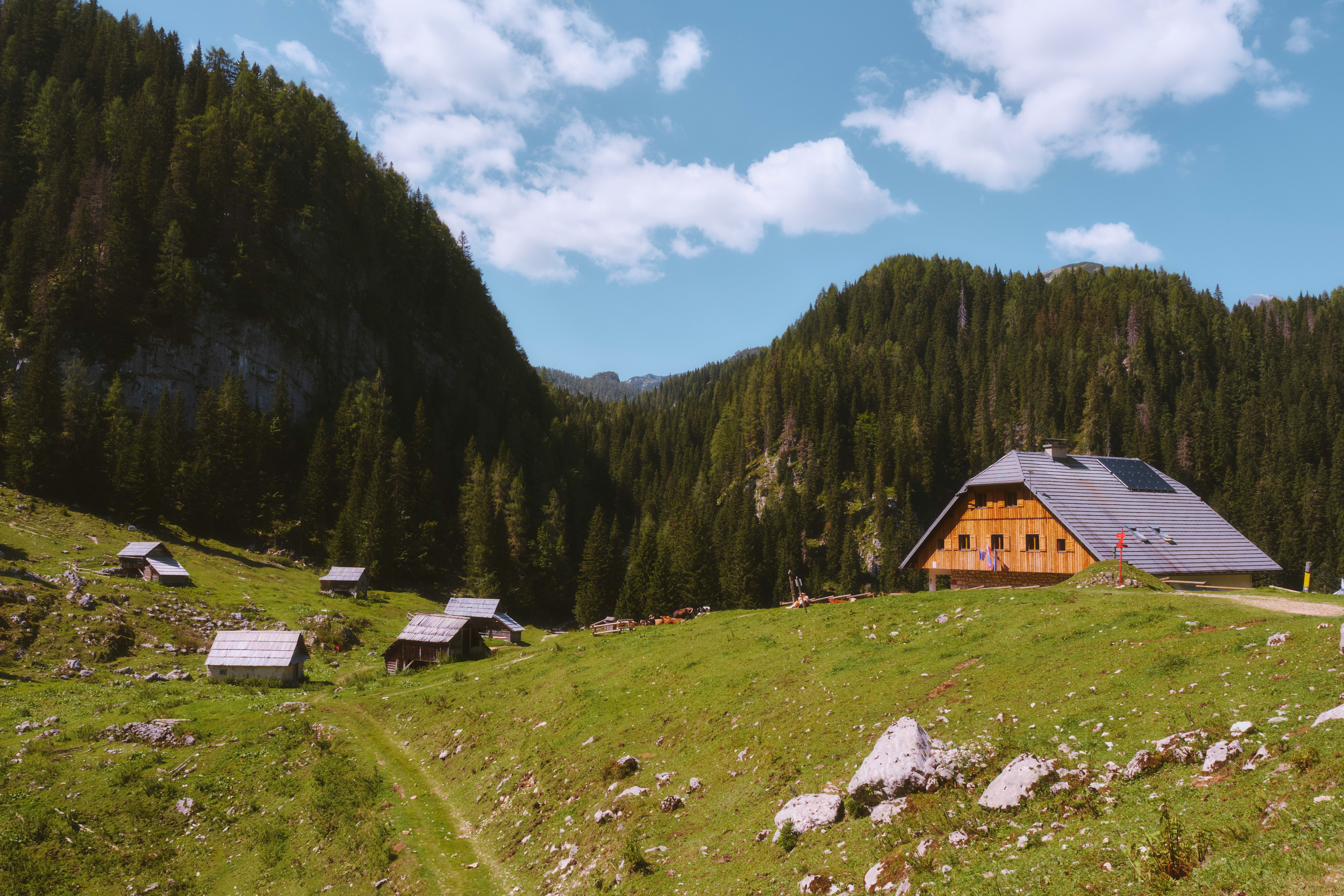 An illustrative photo of a house in the middle of a grassy field.