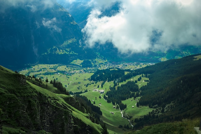 Photo by Unsplash An illustrative photo of a green forest and hills