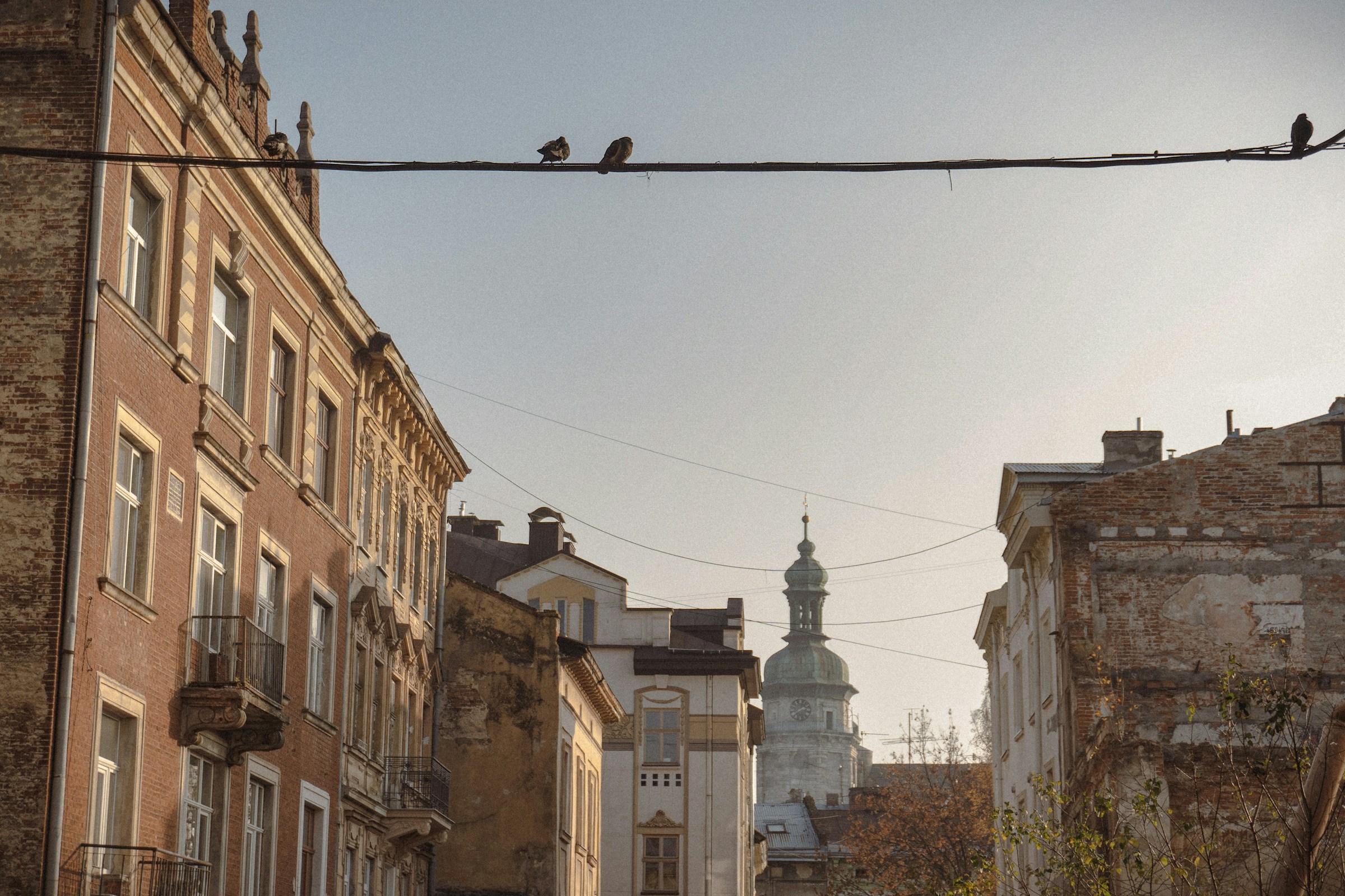 An illustrative photo of a peaceful urban scene with several birds perched on a wire. 