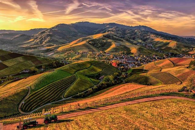 An illustrative photo of  brown and green mountains