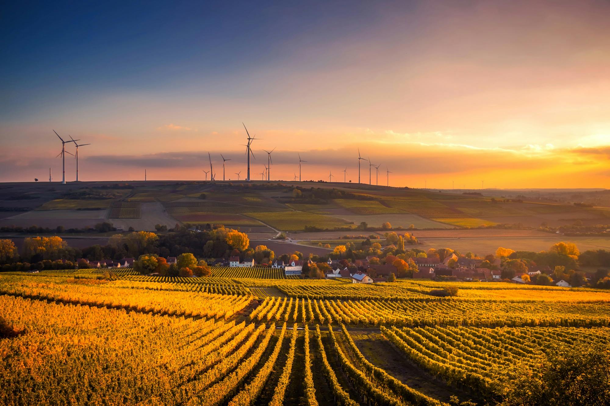 Photo by Pexels An illustrative photo of a scenic view of agricultural field against sky during sunset