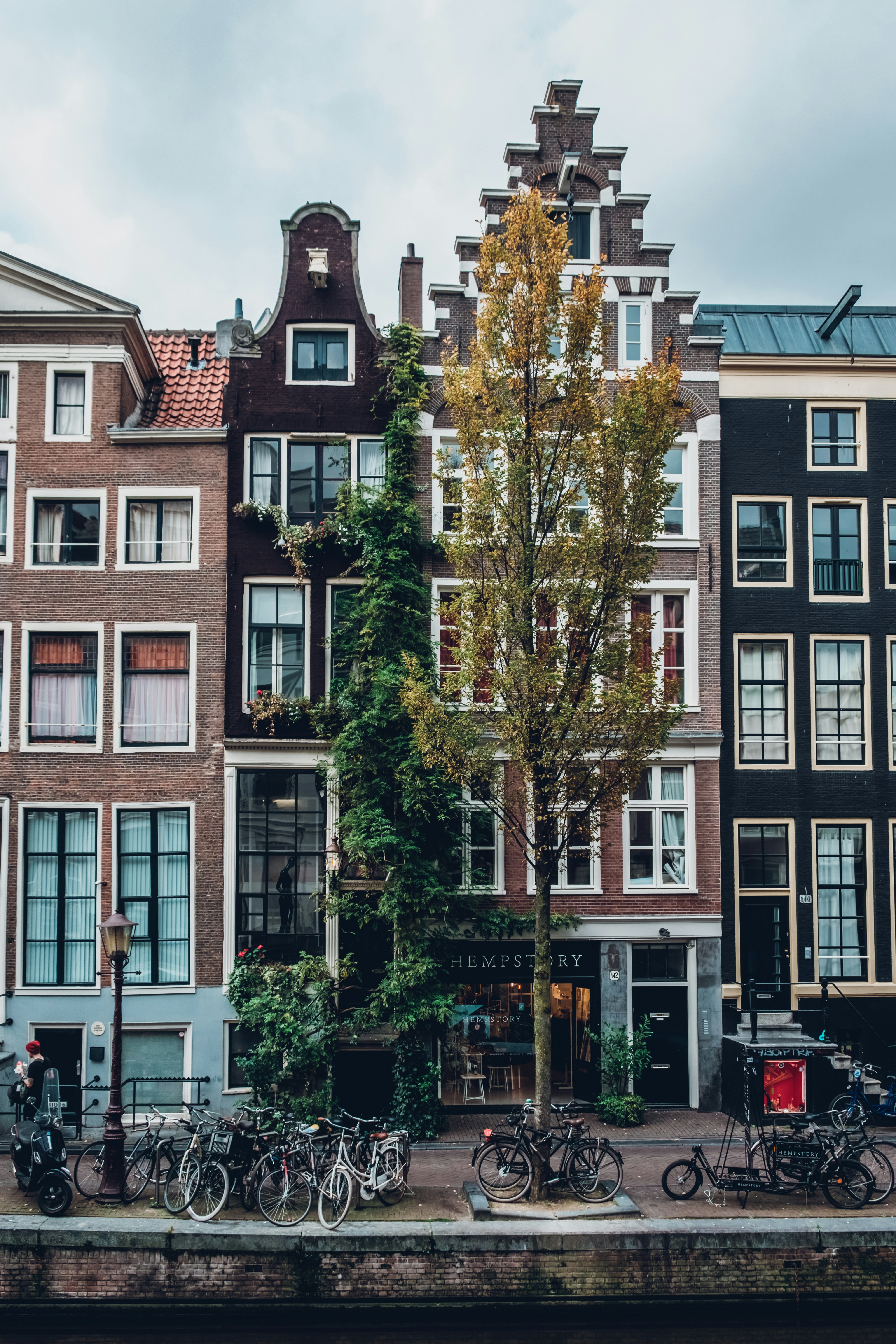 An illustrative photo of parked bicycles in front of buildings in Amsterdam