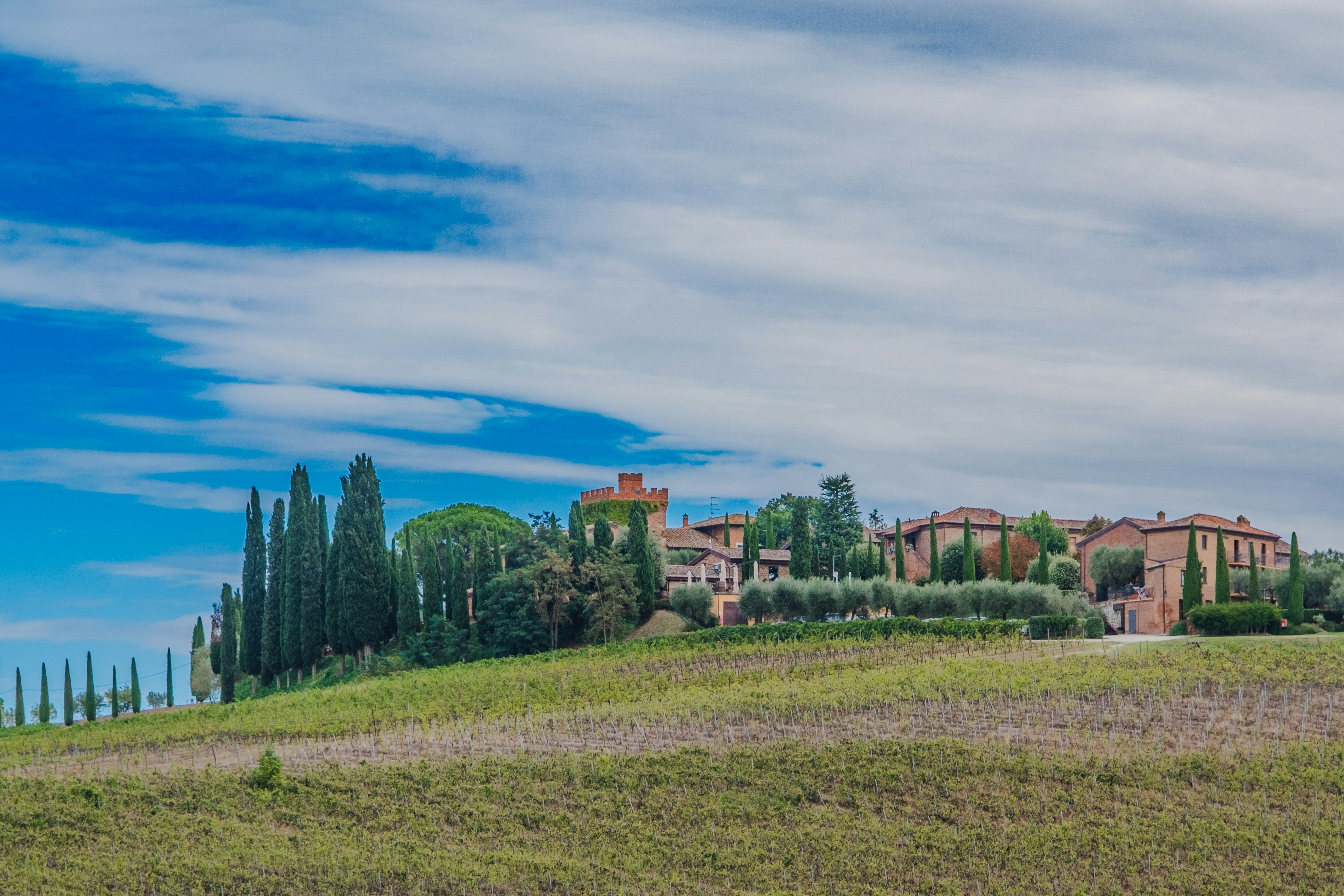An illustrative photo of a house on a hill with trees and grass