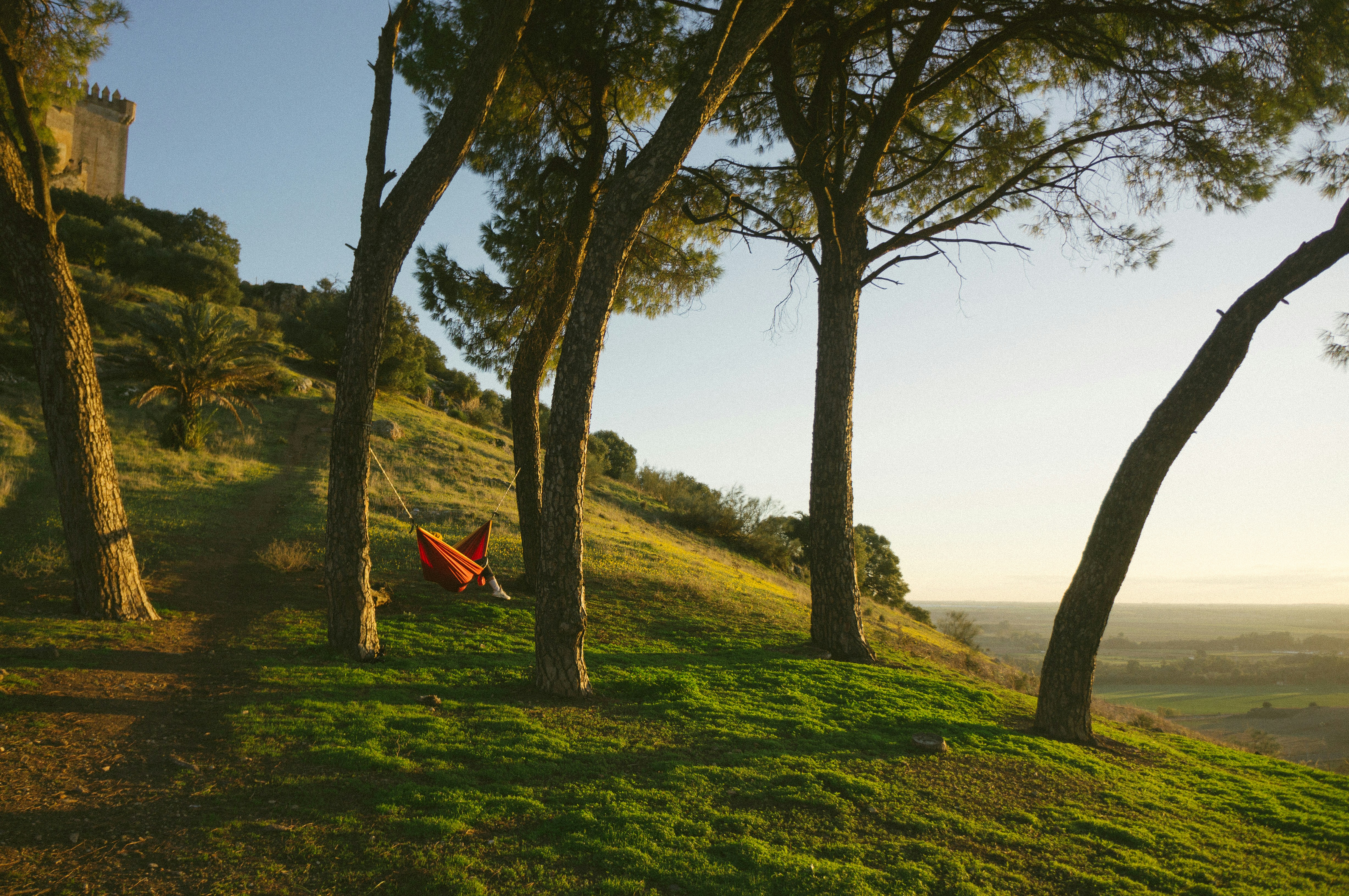 An illustrative photo of red hammock on green trees.