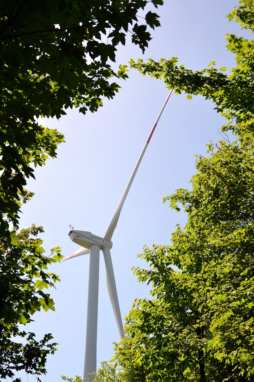 An illustrative photo of a windmill between trees