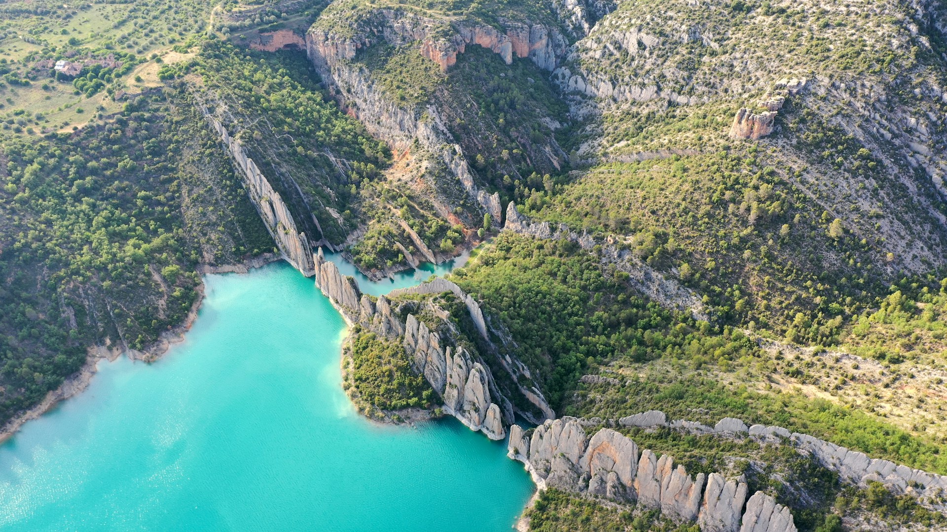 An illustrative photo of a mountain with green trees beside a lake