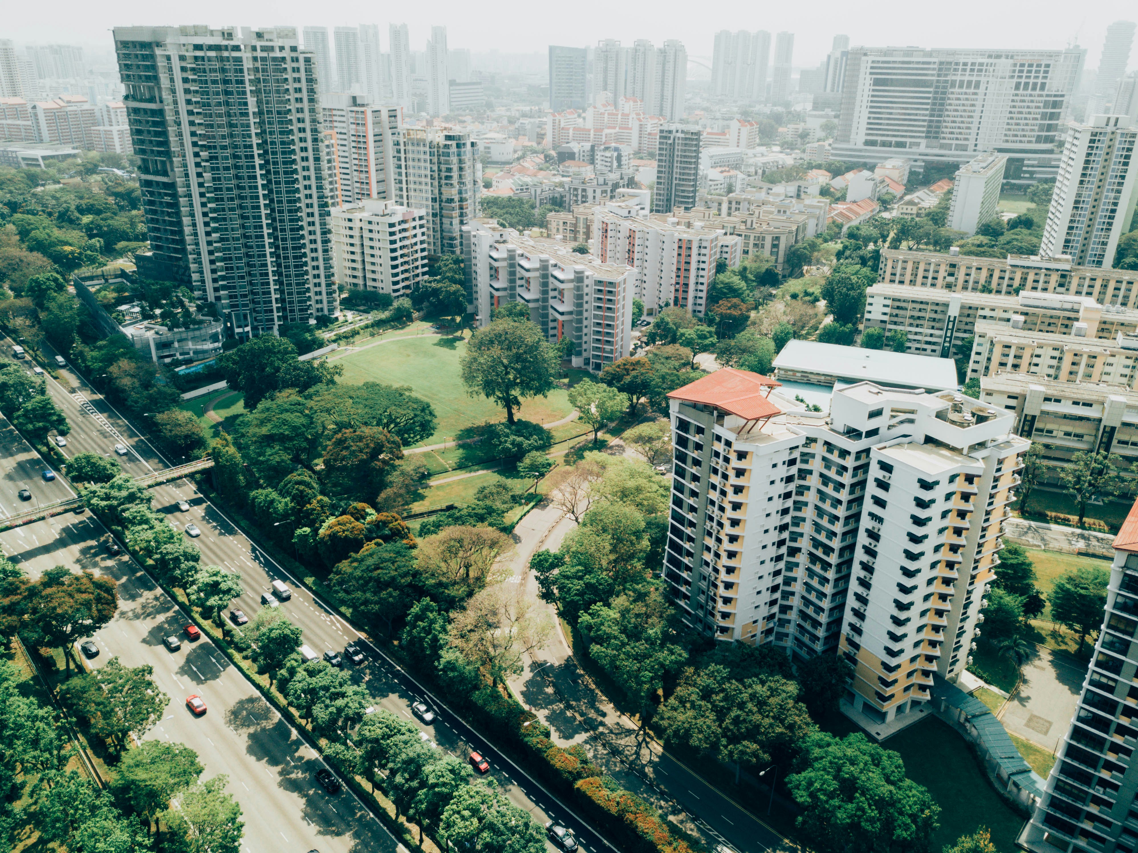 An illustrative photo of a city with skyscrapers and a lot of green trees 