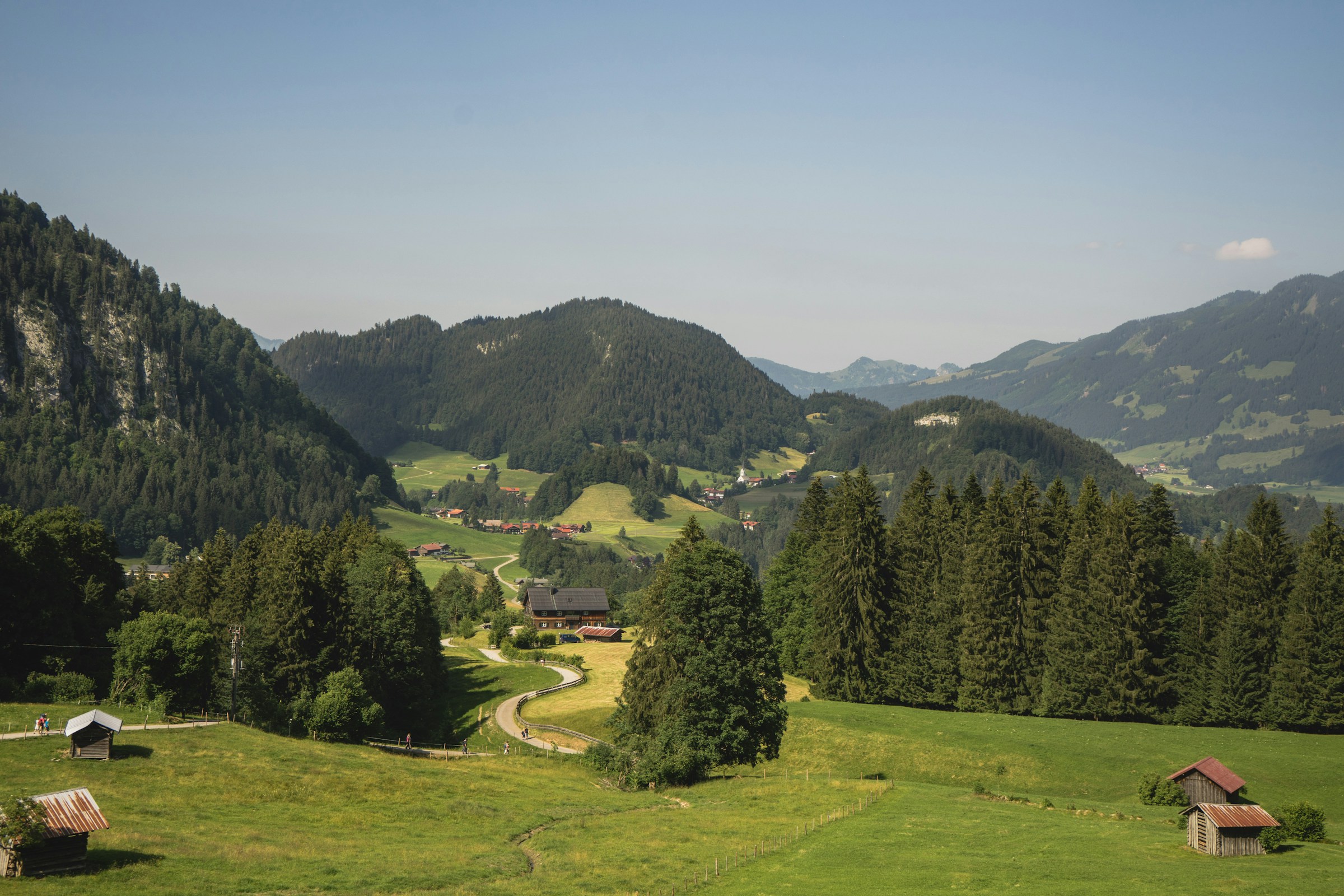 An illustrative photo of a lush green hillside covered in lots of trees.