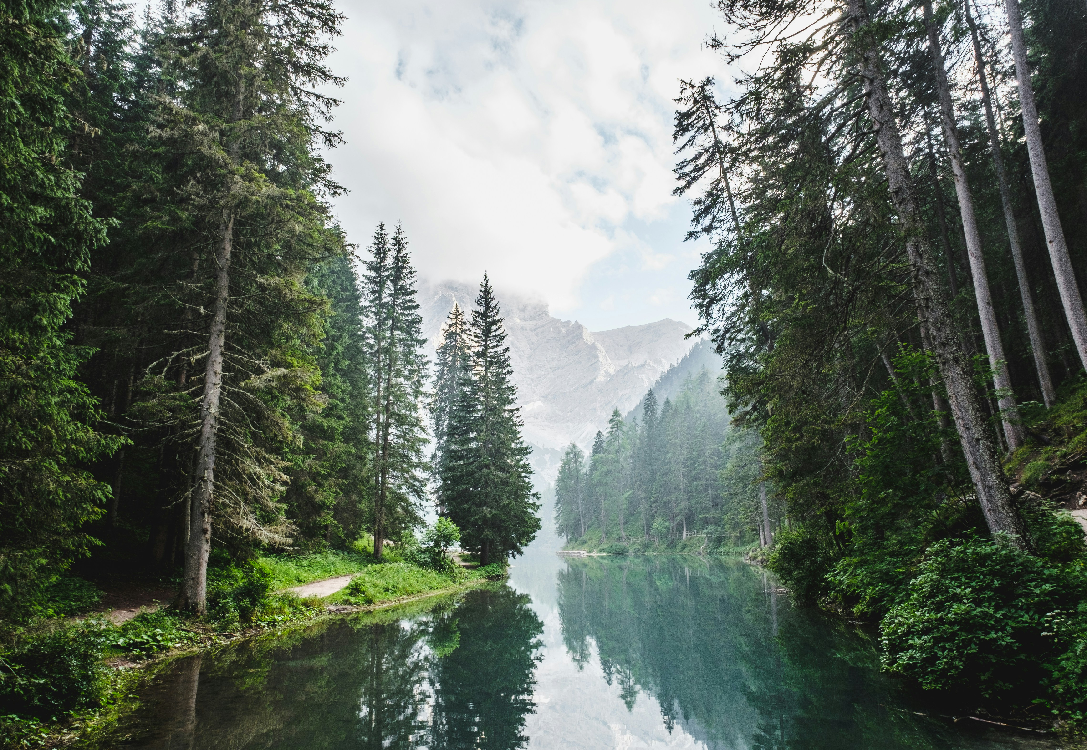 Photo by Unsplash An illustrative photo of a body of water surrounded by pine trees