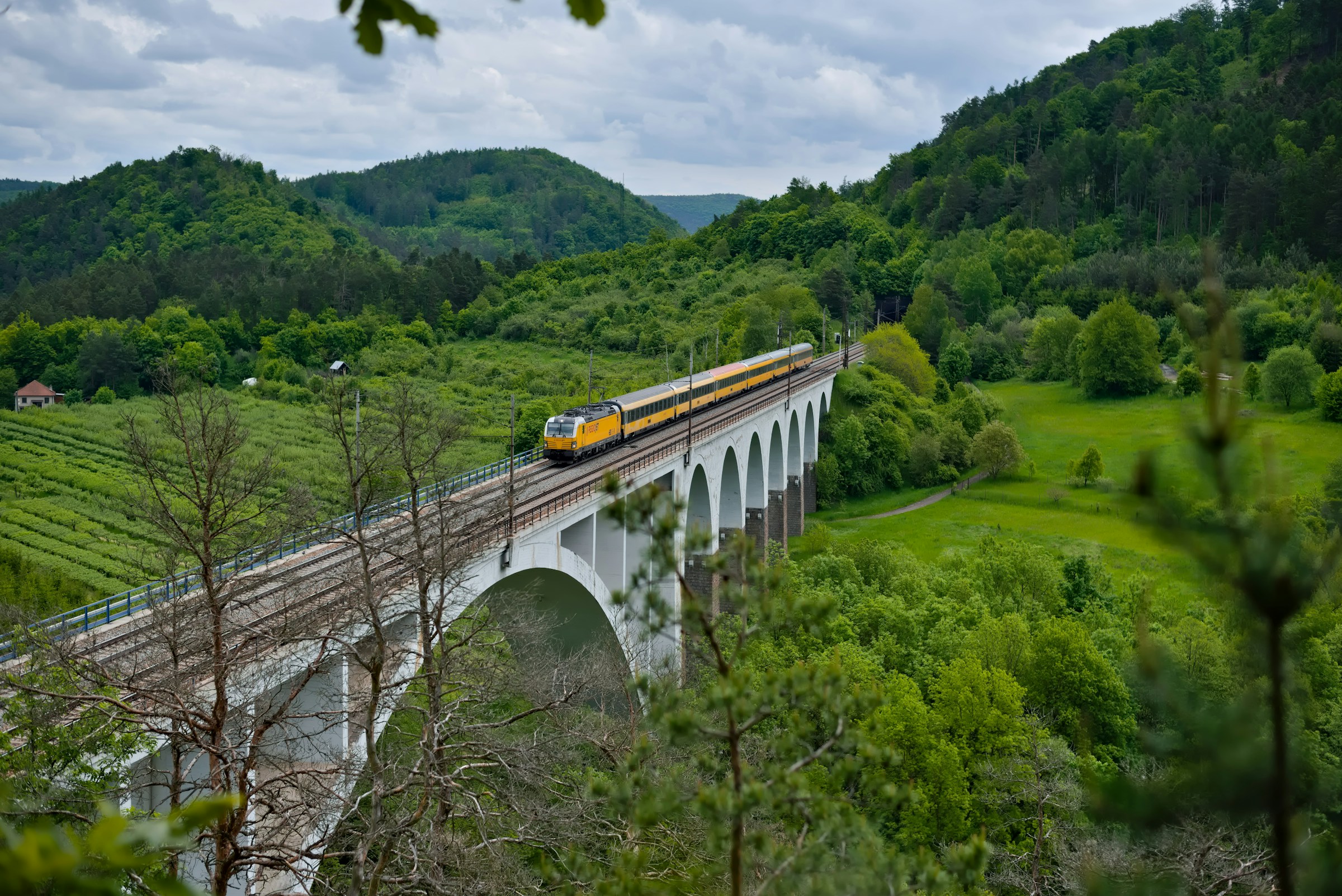 An illustrative photo of a yellow and white train on rail tracks.