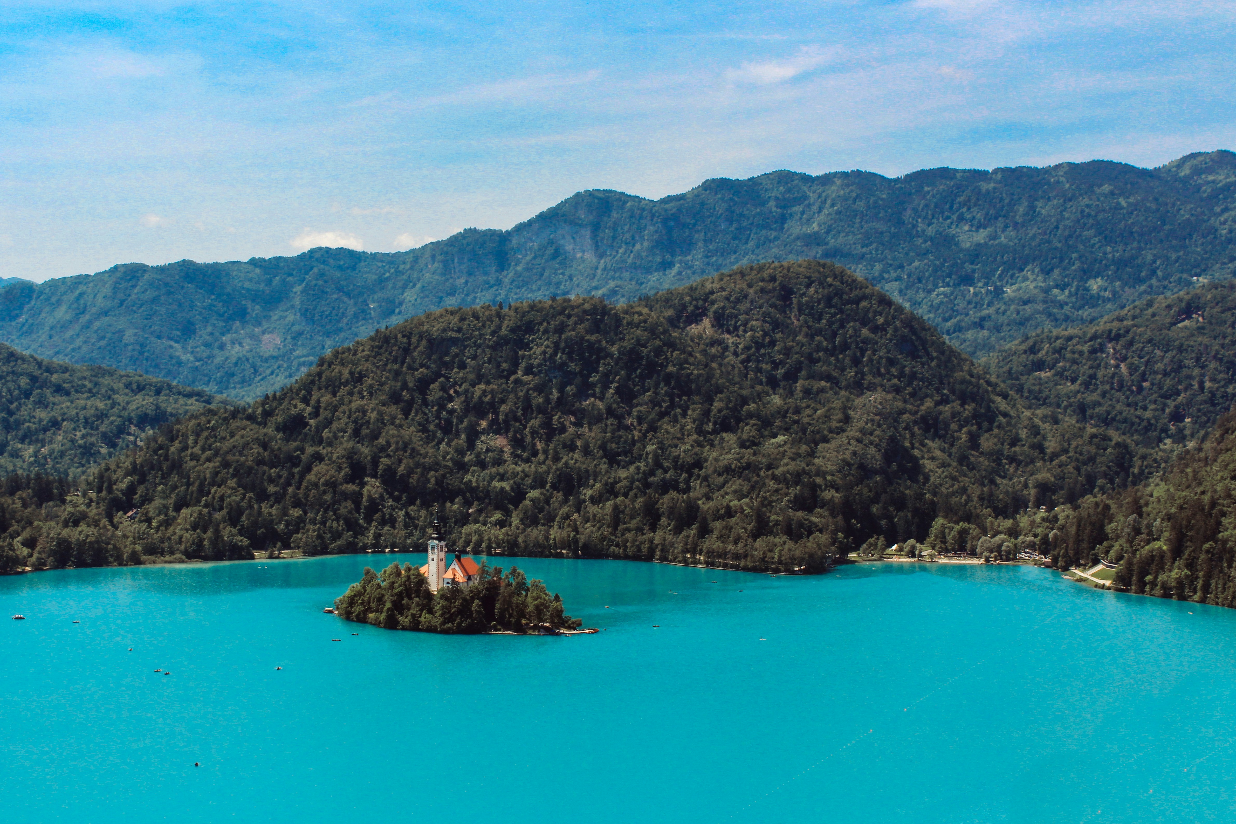 An illustrative photo of green trees on island surrounded by water.