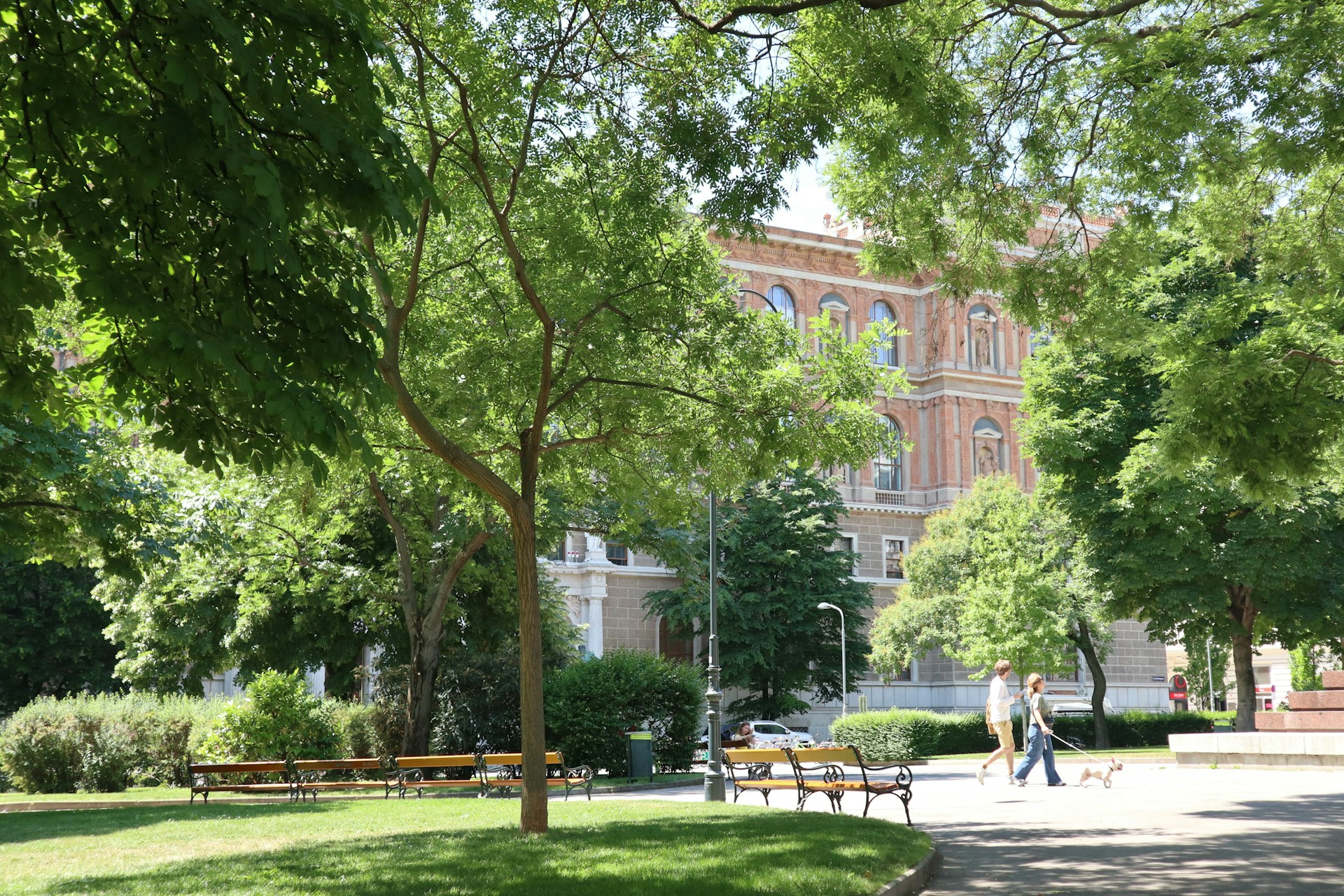 Photo by Unsplash An illustrative photo of a person walking a dog in a park