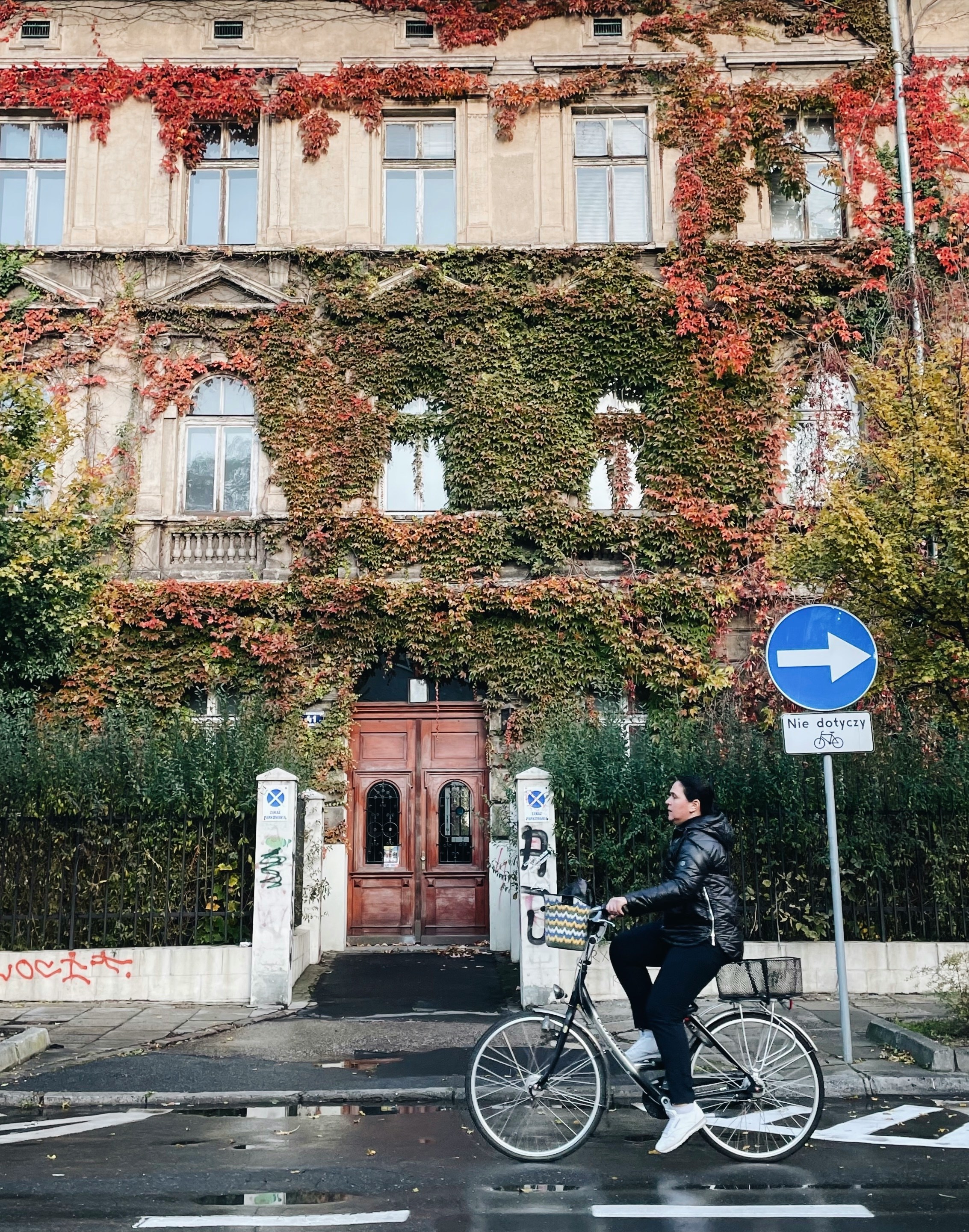 An illustrative photo of a man riding a bike down a street next to a tall building