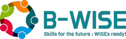 B-WISE logo