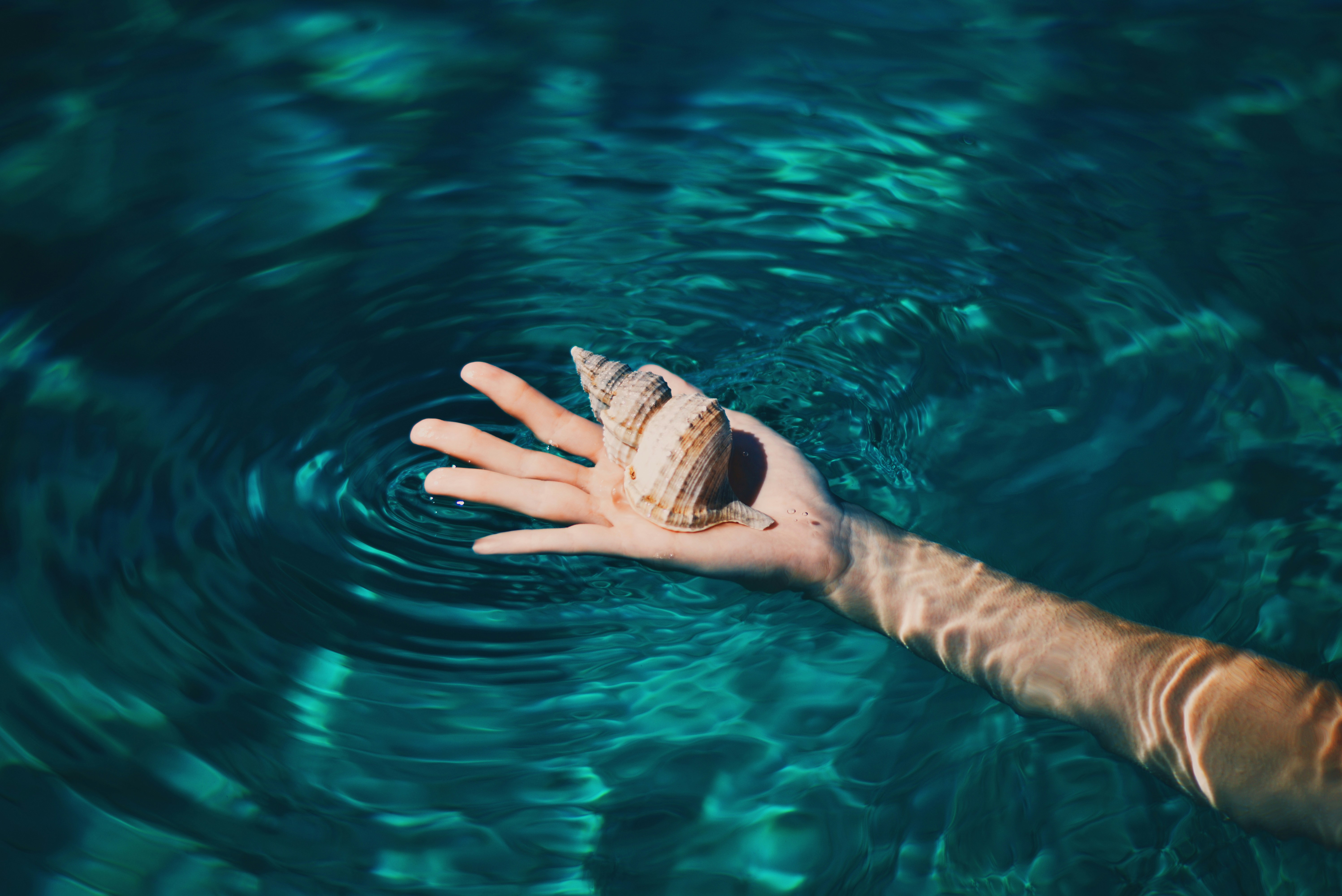 An illustrative photo of a person holding a shell in the water