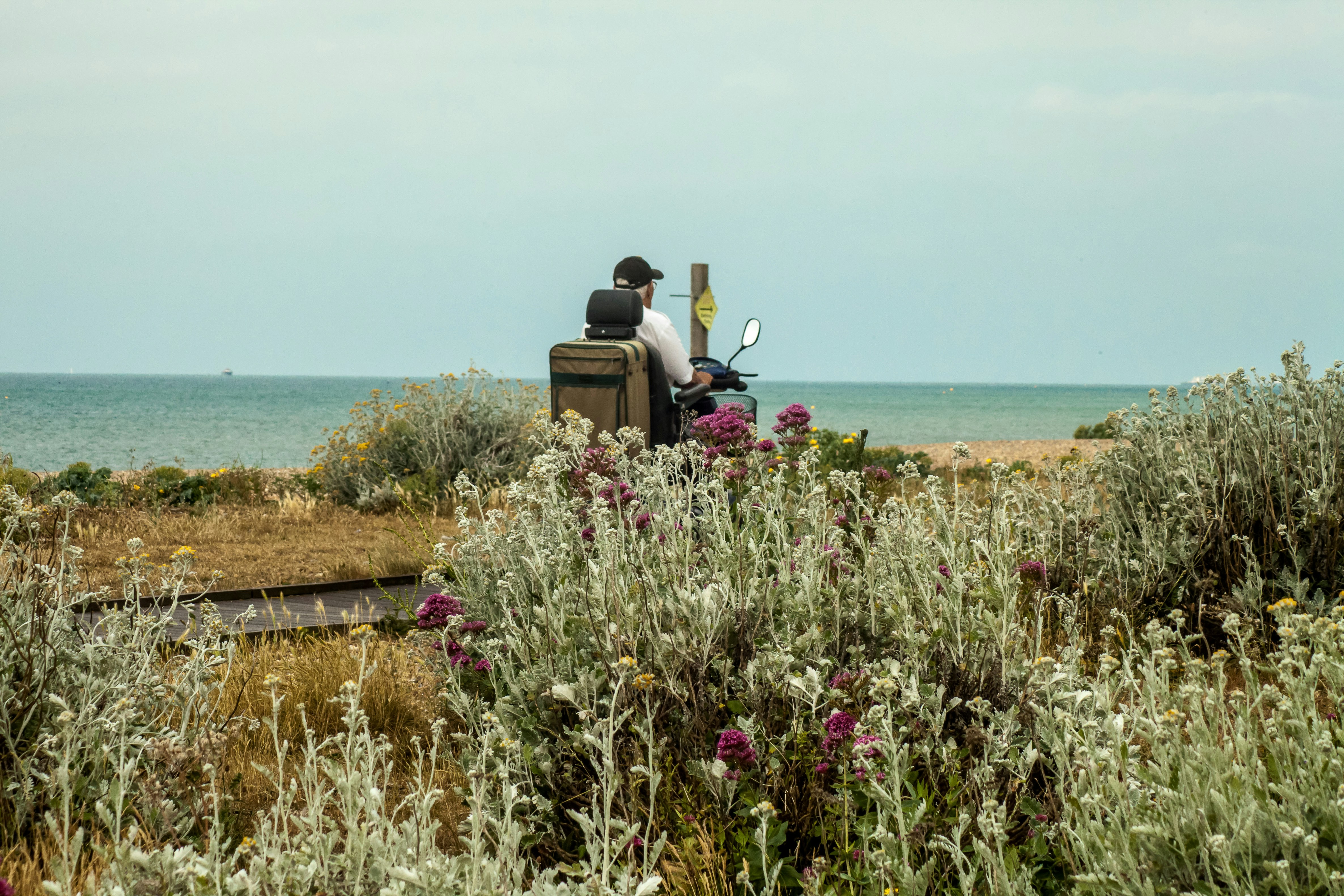 An illustrative photo of a man in a wheelchair on the seashore