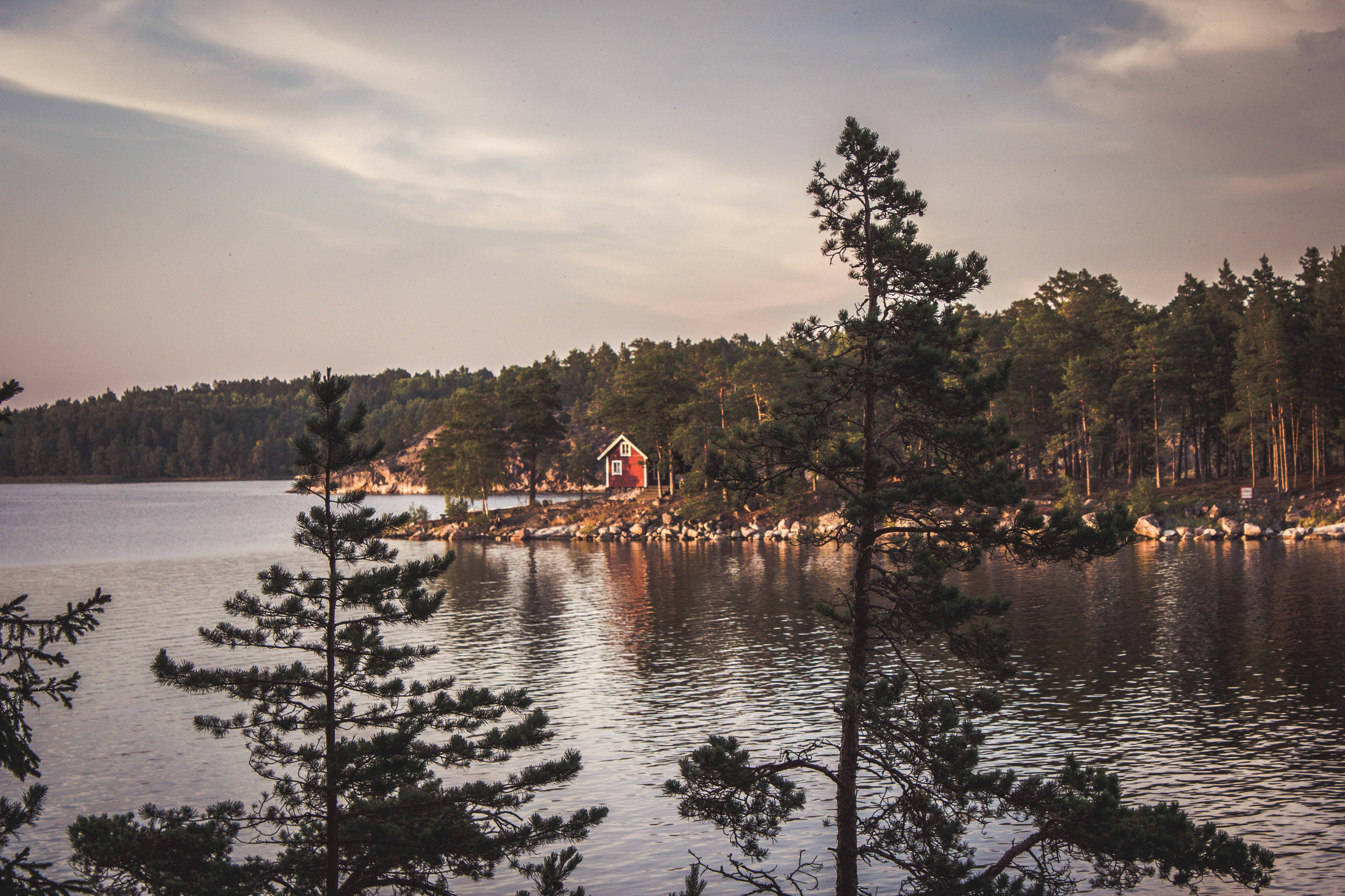 An illustrative photo of a house on a coast with trees near a body of water