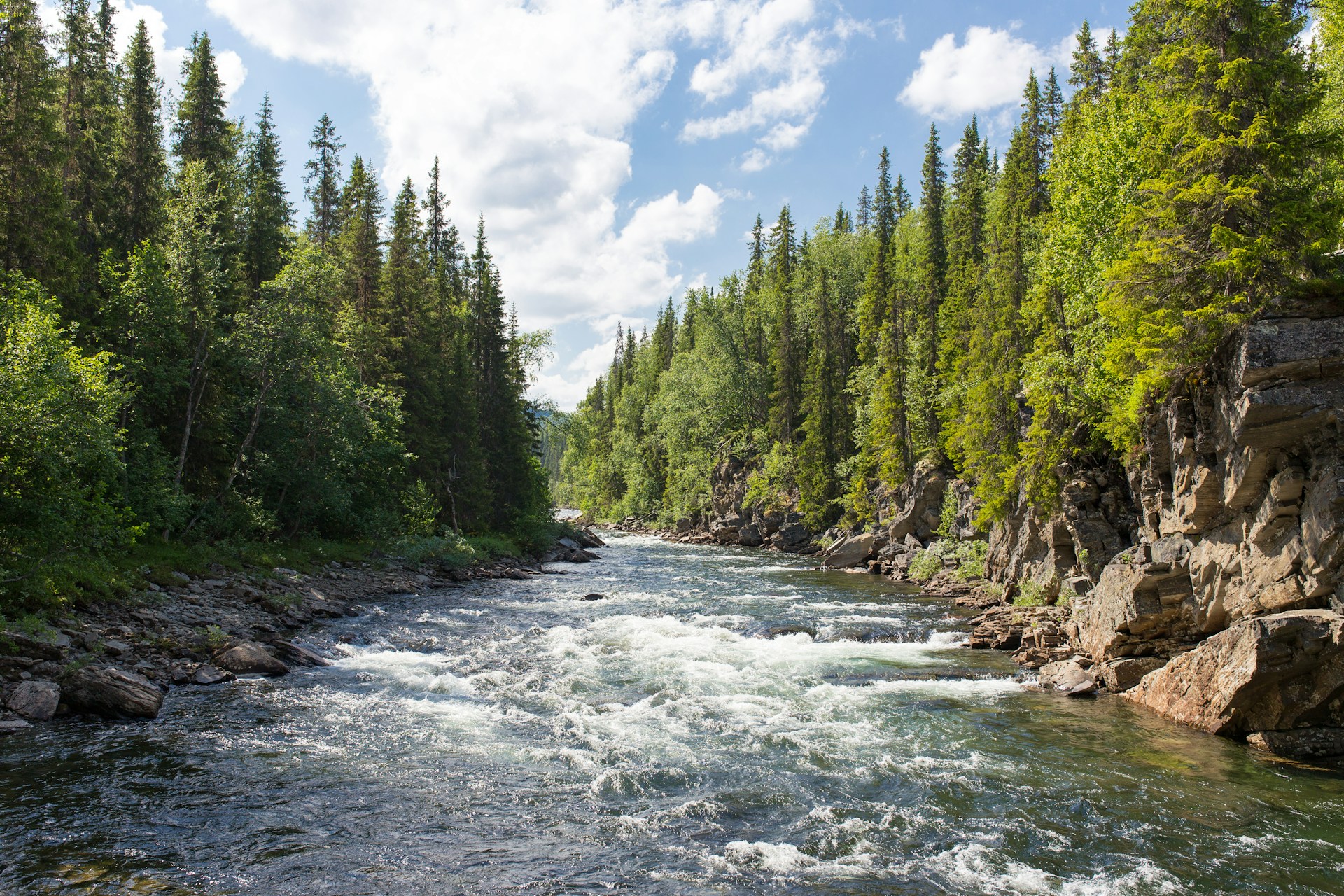 An illustrative photo of a river between trees under a cloudy sky