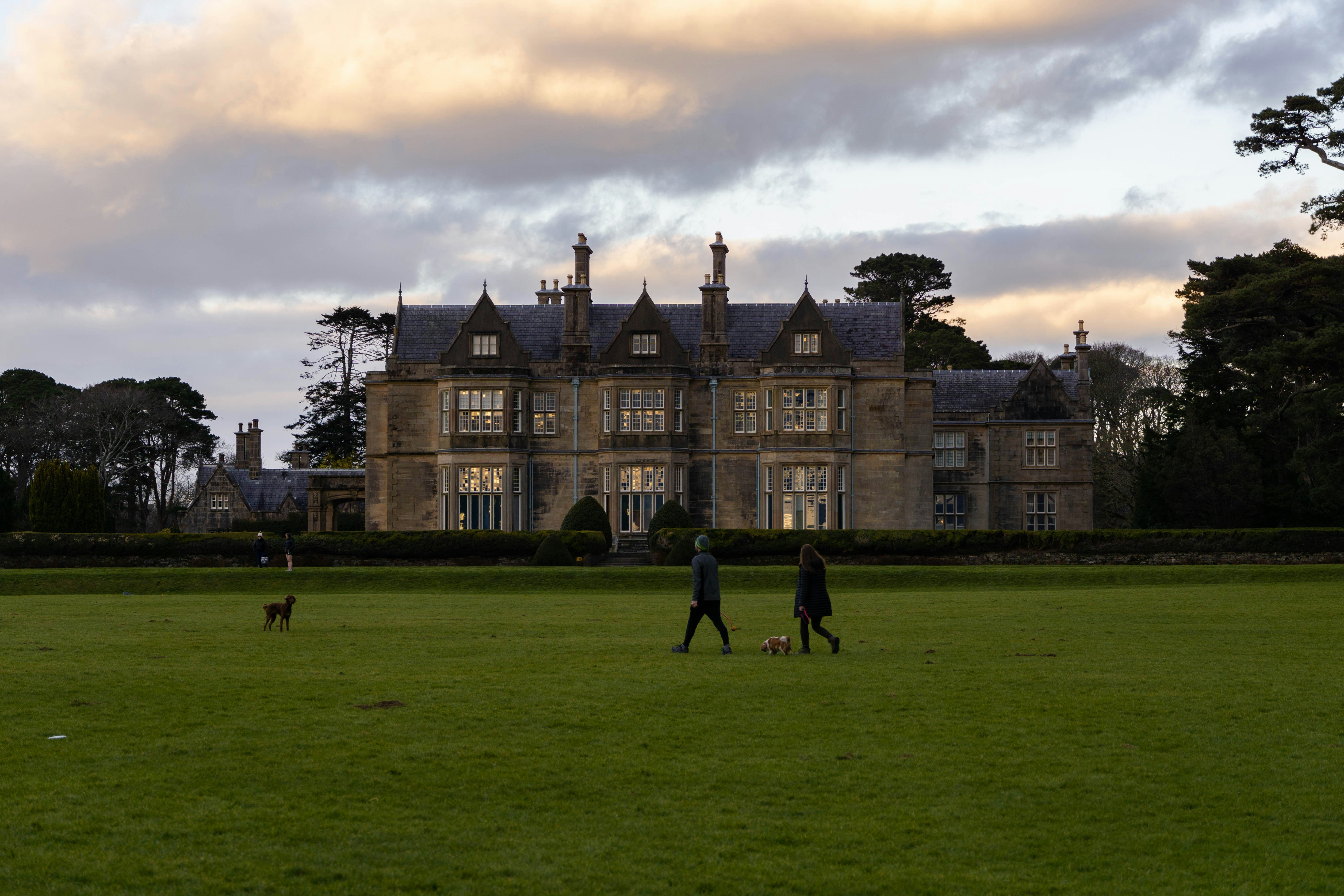 An illustrative photo of two people and a dog walking in front of a large building.