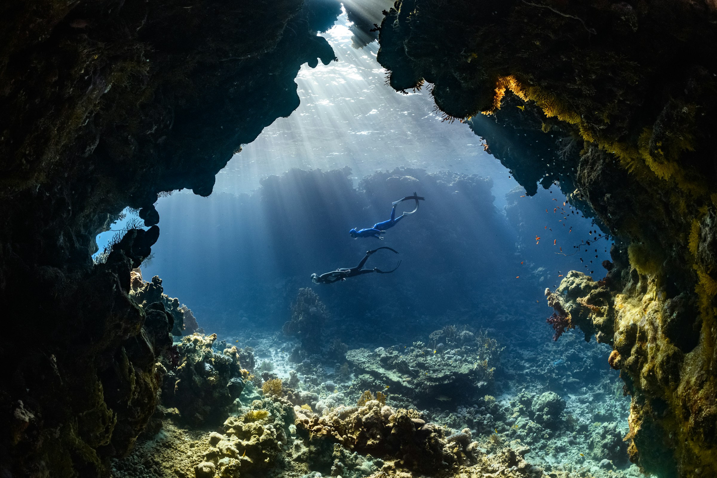 An illustrative photo of a scuba diver swims.