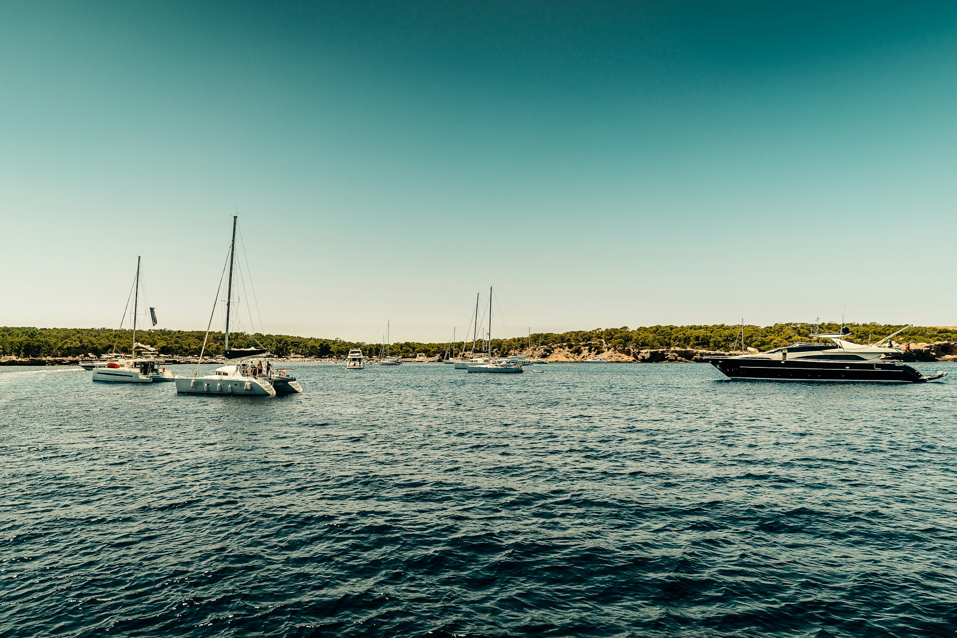 An illustrative photo of white boats on sea during daytime