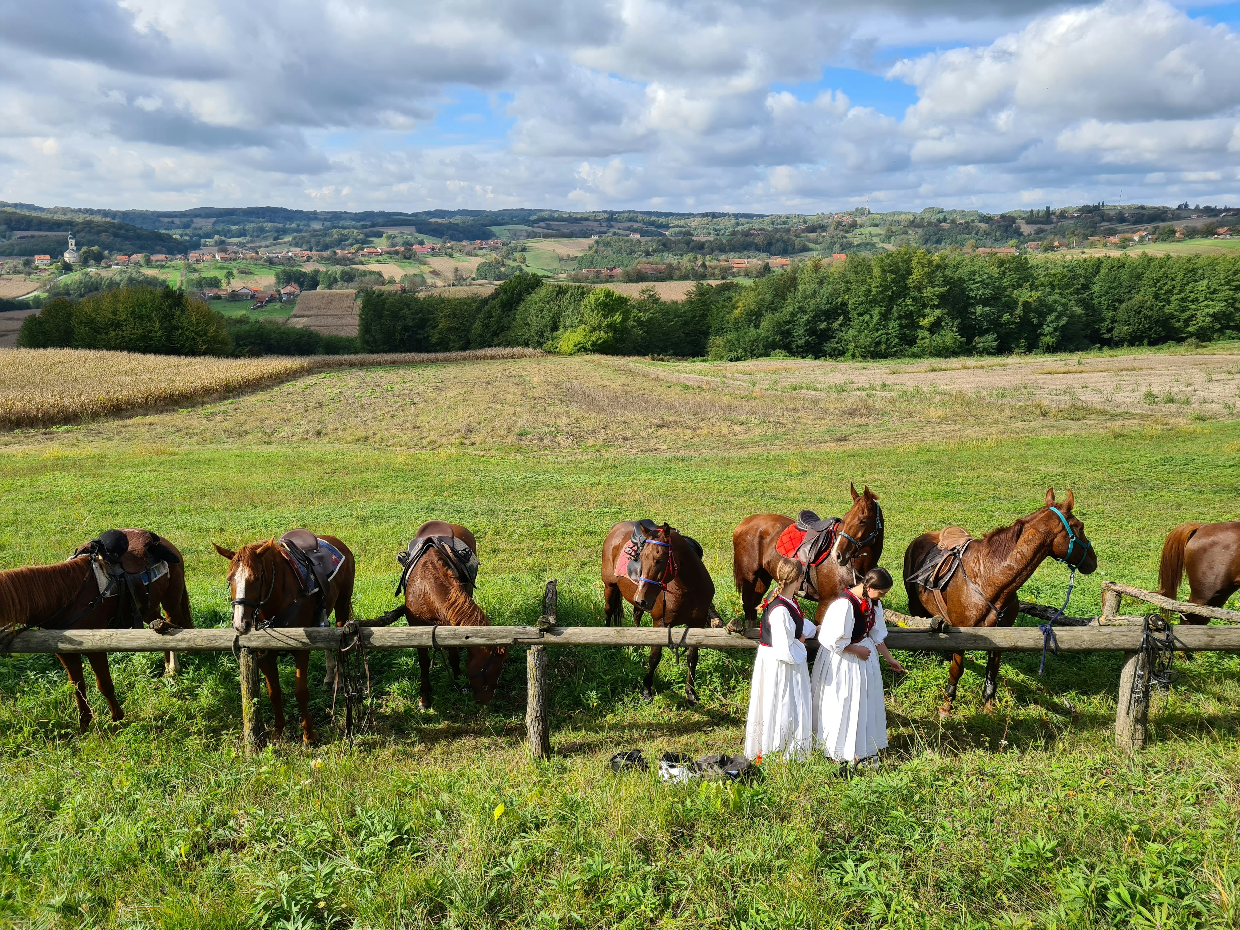 People riding horses on green grass field during daytime