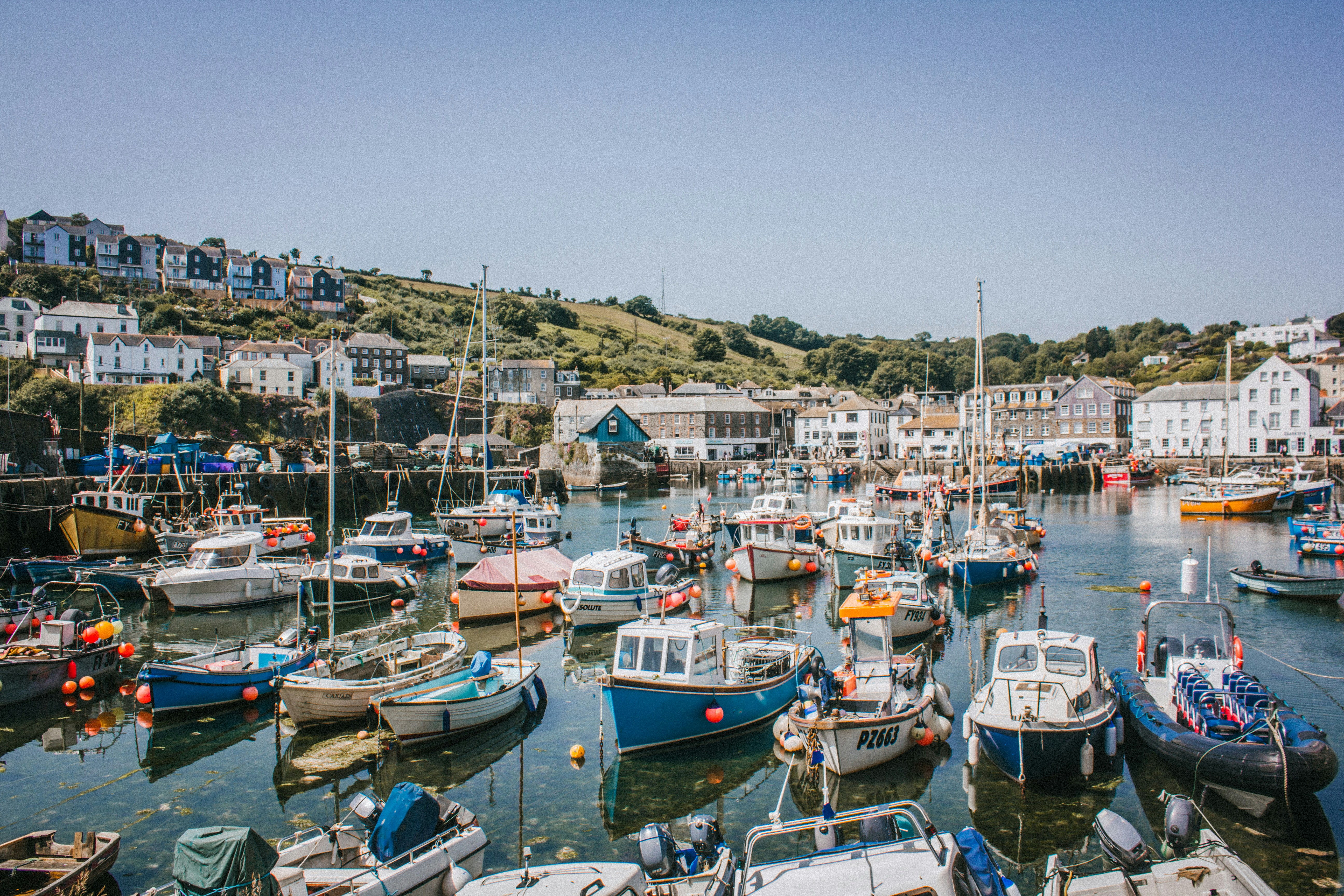 An illustrative photo of a harbor filled with lots of small boats
