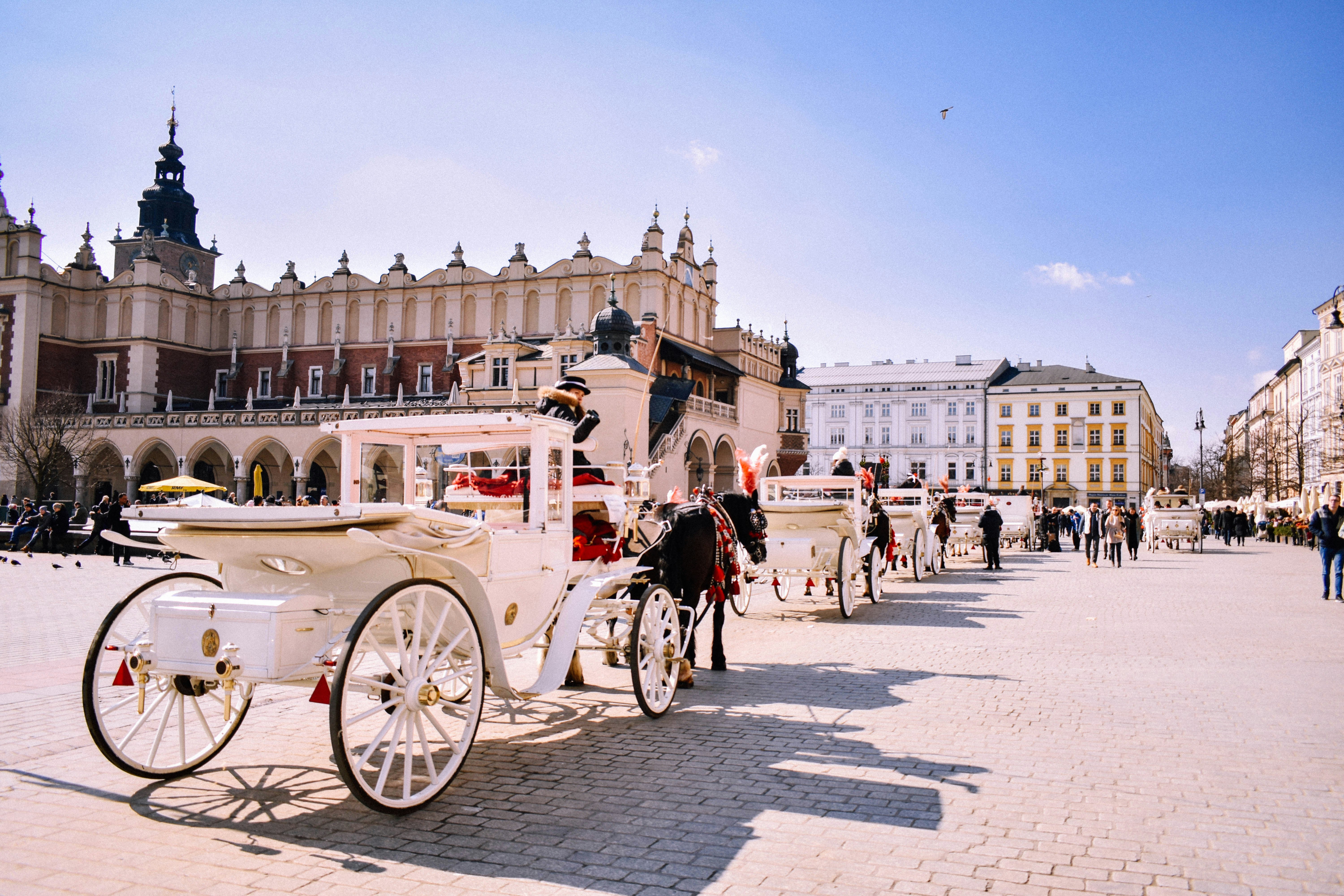 An illustrative photo of horses with carriages in Krakow, Poland