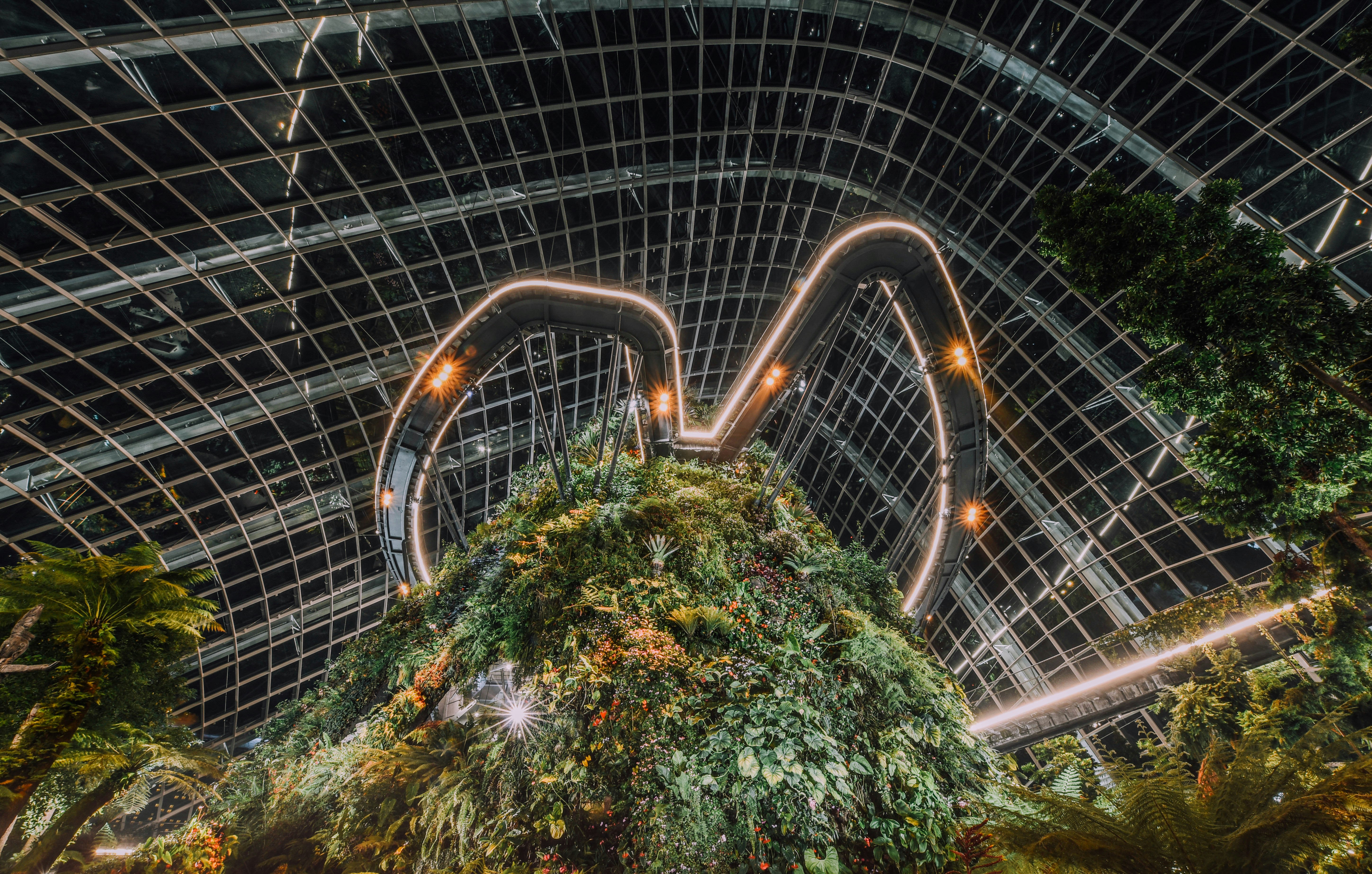 Photo by Unsplash An illustrative photo of trees inside of the glass building