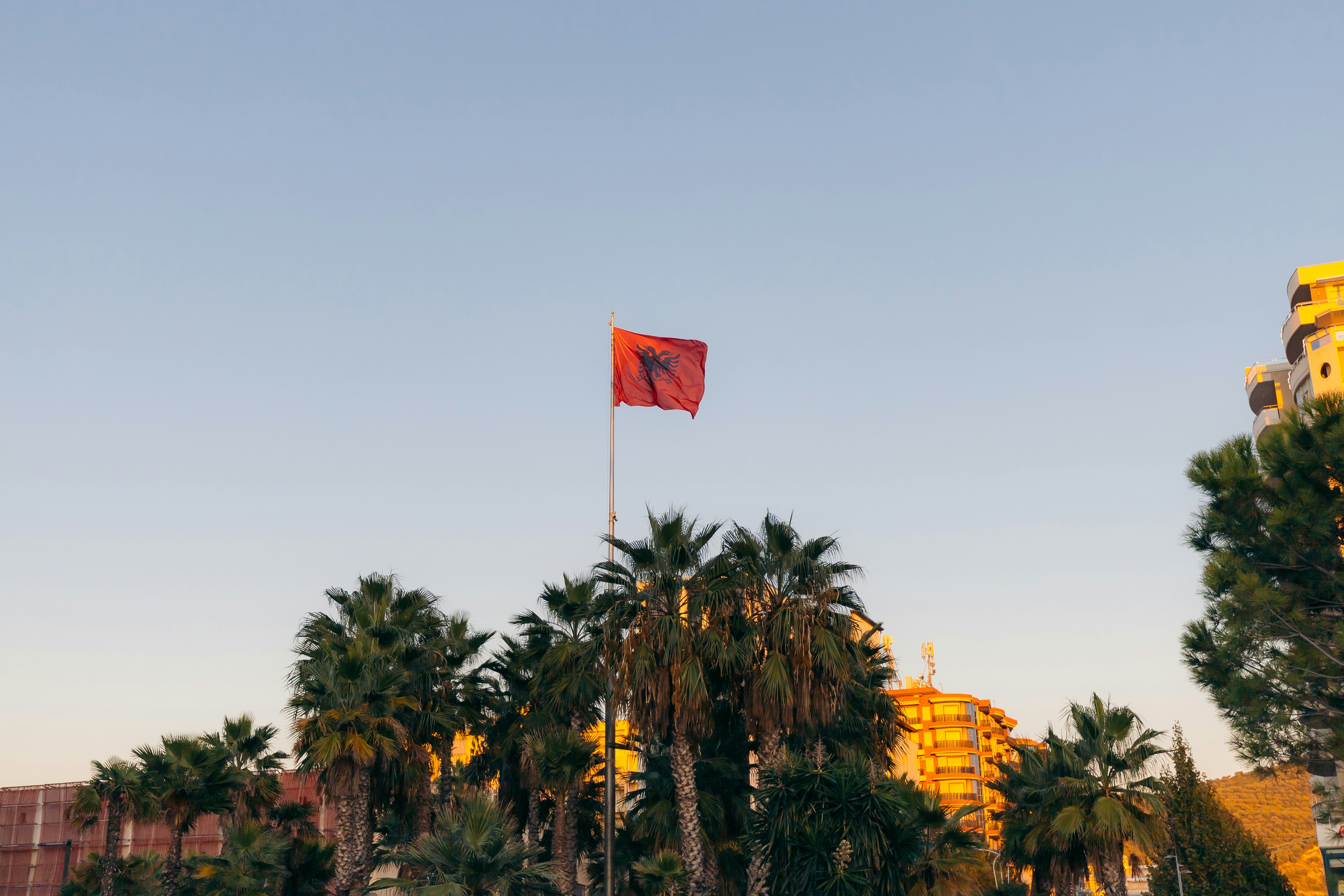 An illustrative photo of a a flag on a pole