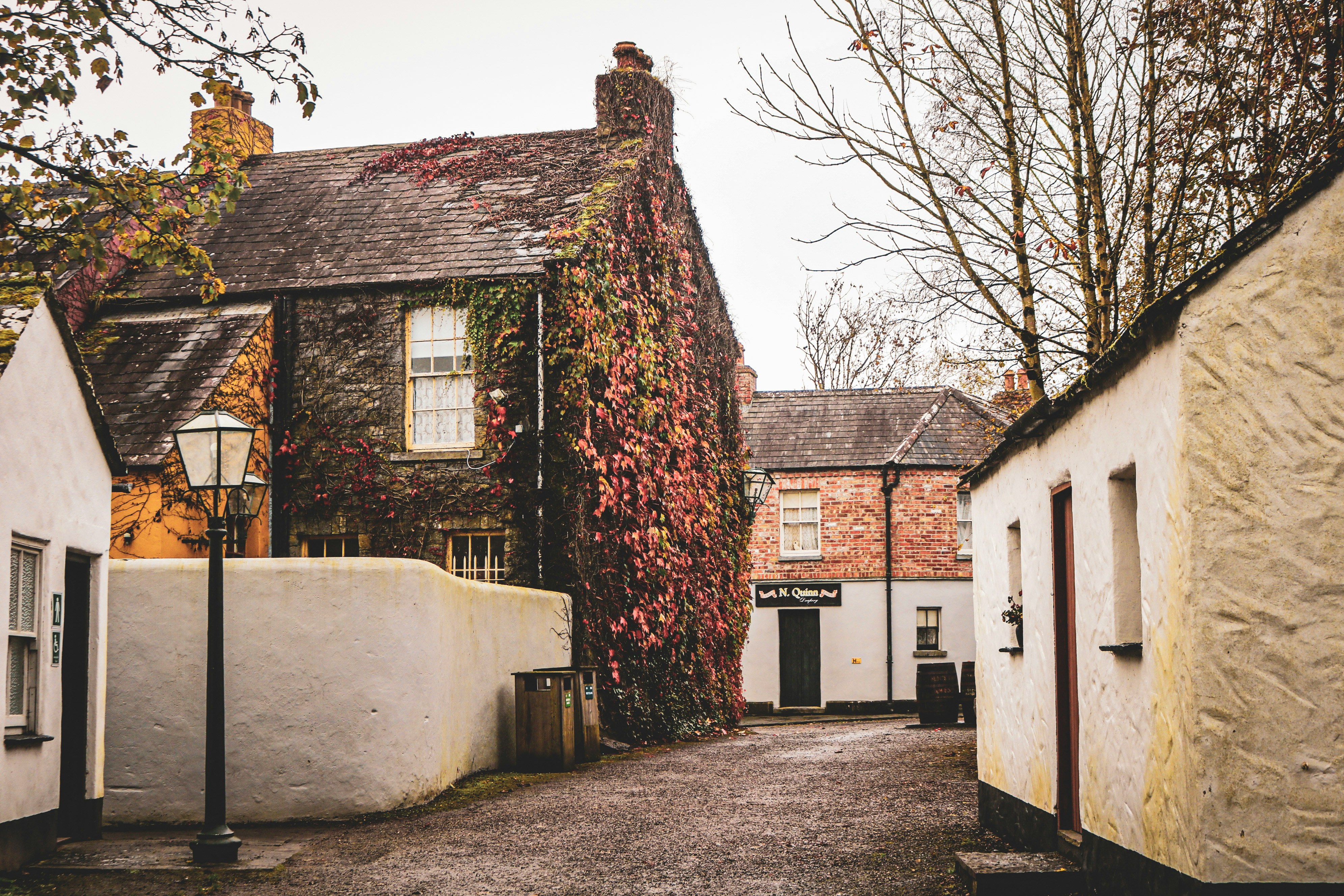 An illustrative photo of a narrow street with houses.