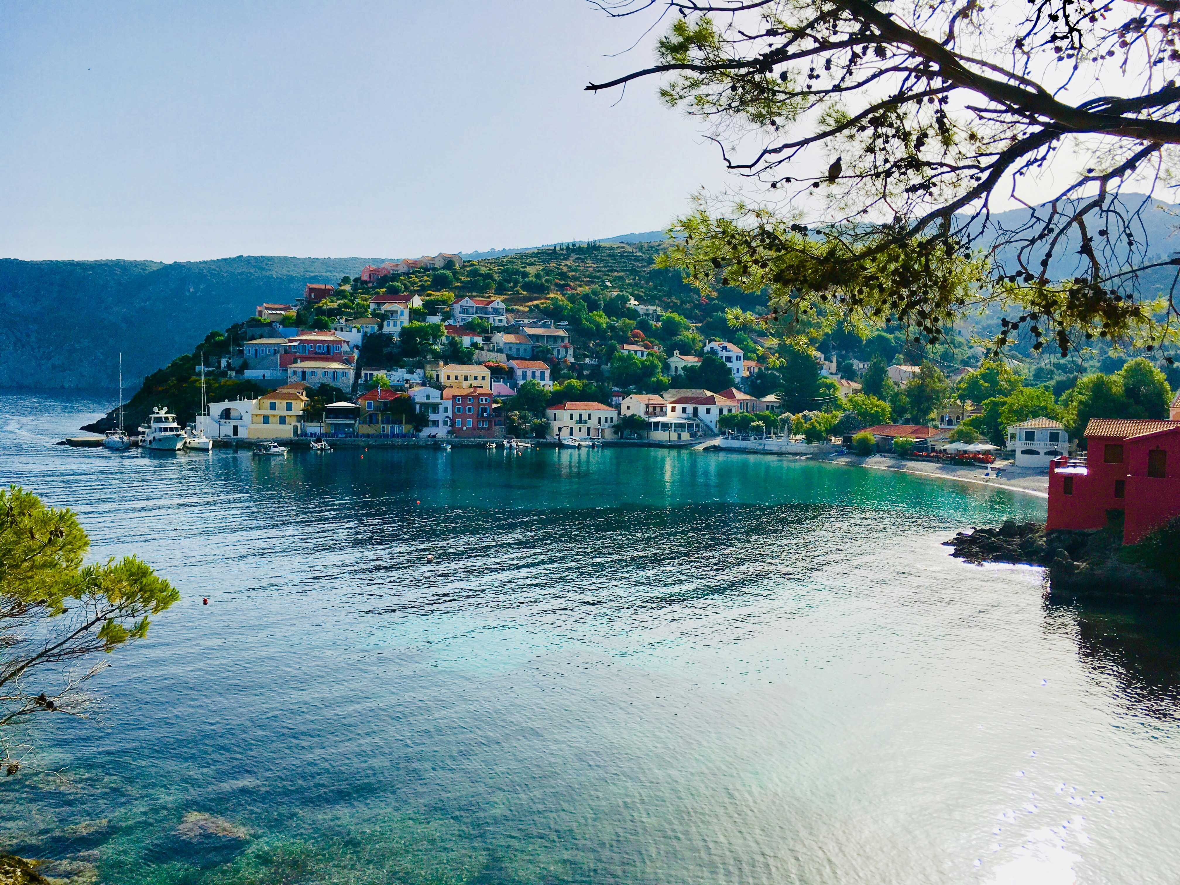 An illustrative photo of houses on a hill near a body of water