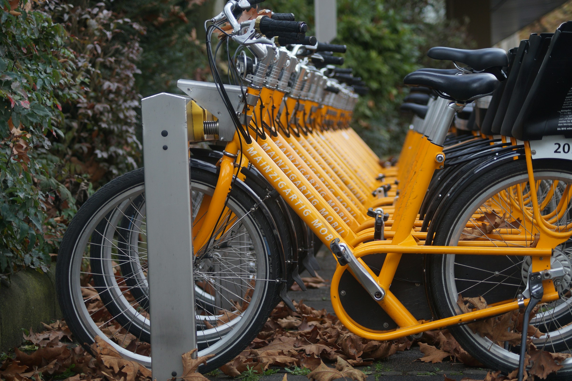 An illustrative photo of yellow-bicycles.