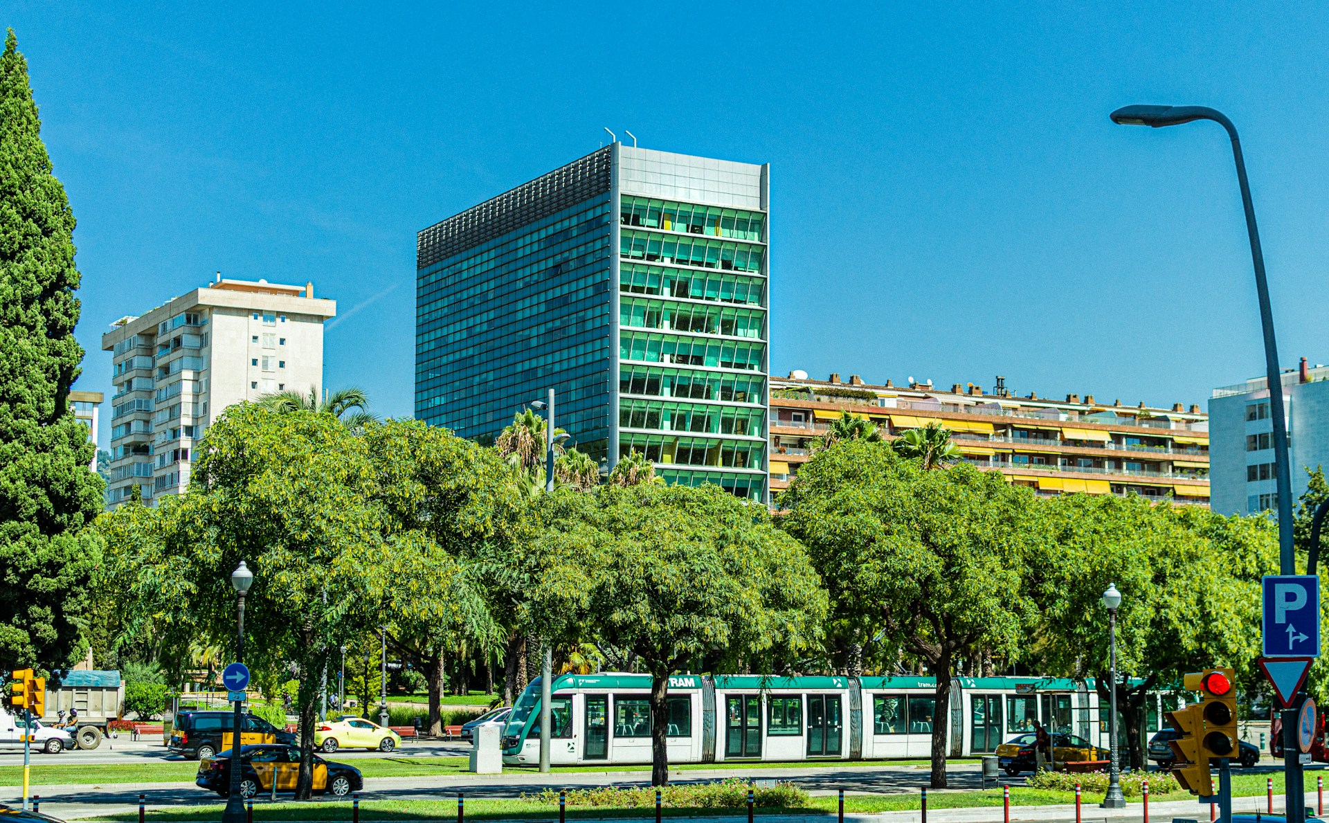 An illustrative photo of a sunny day in a green city