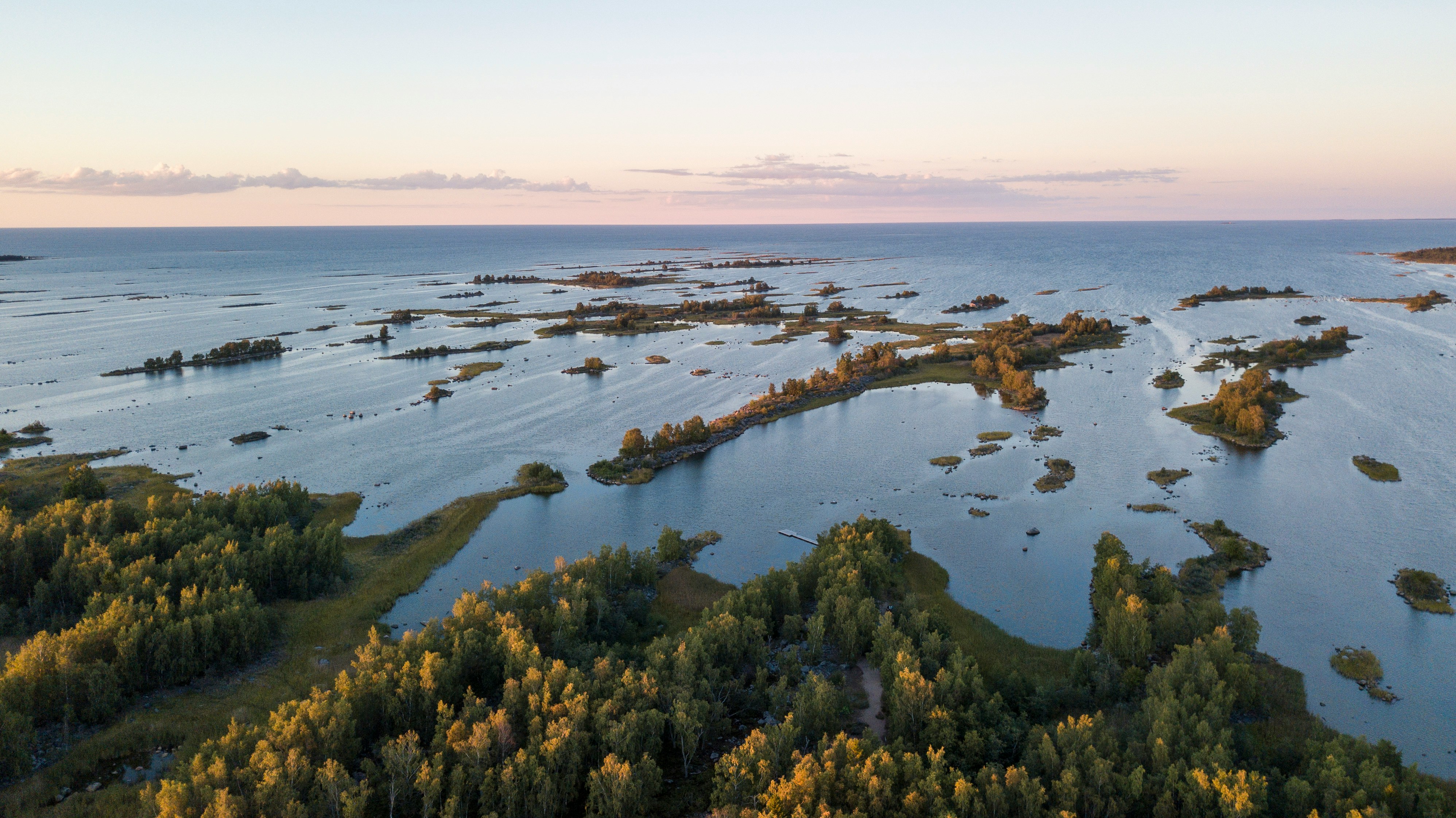 An illustrative photo of green grass and trees near a body of water.