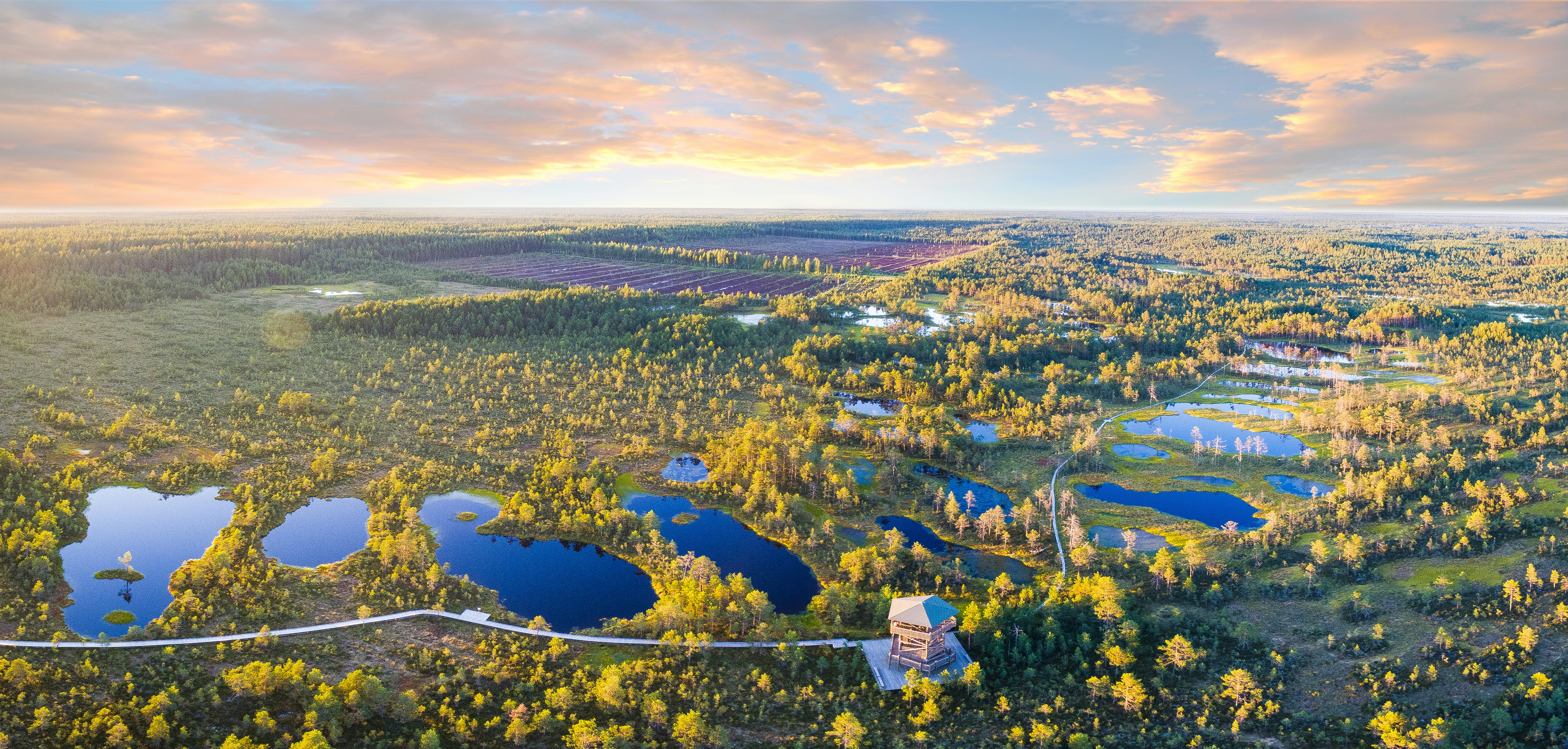 An illustrative photo of a view of lakes in a forest.