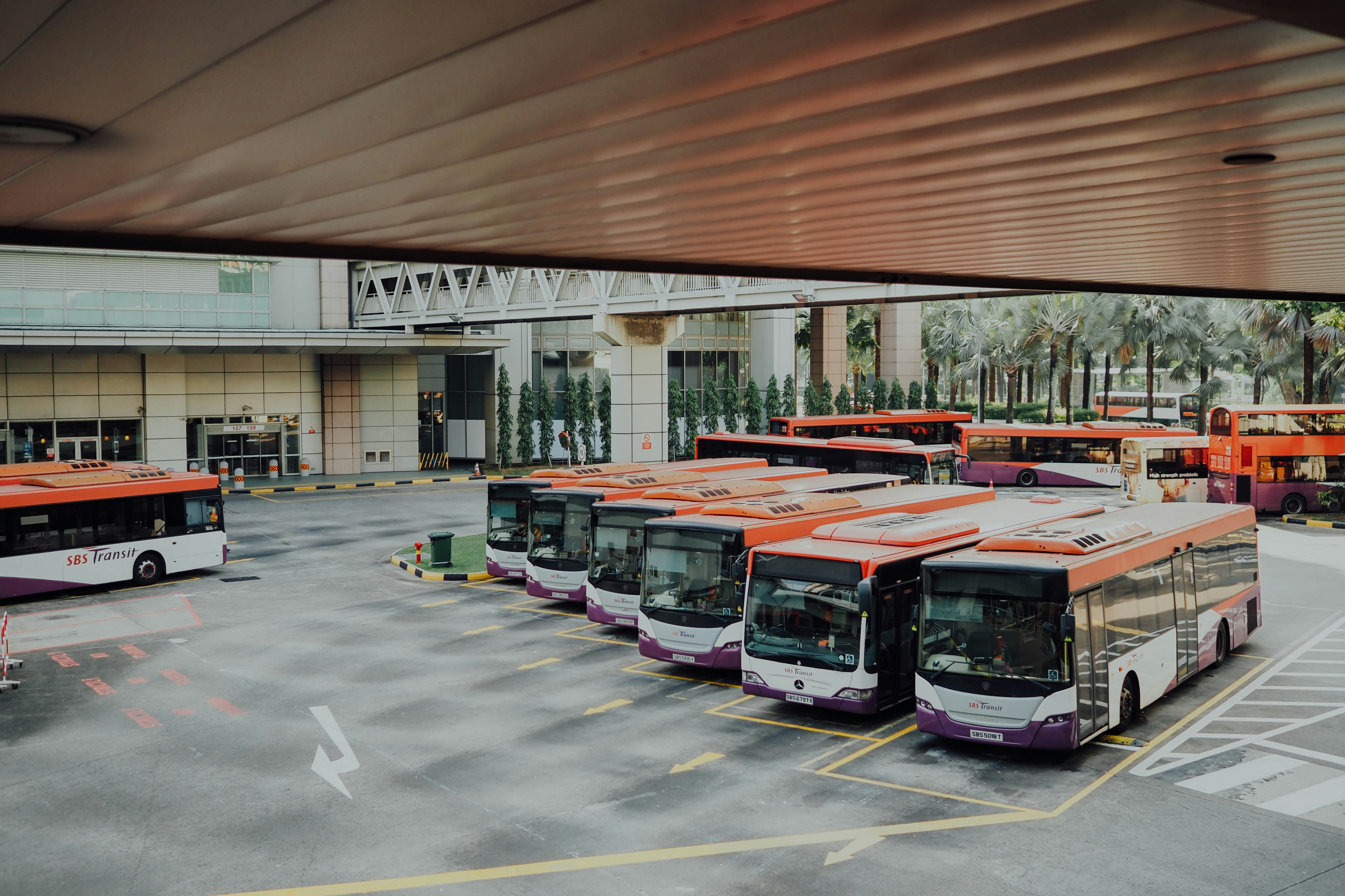 An illustrative photo of an orange and white bus.