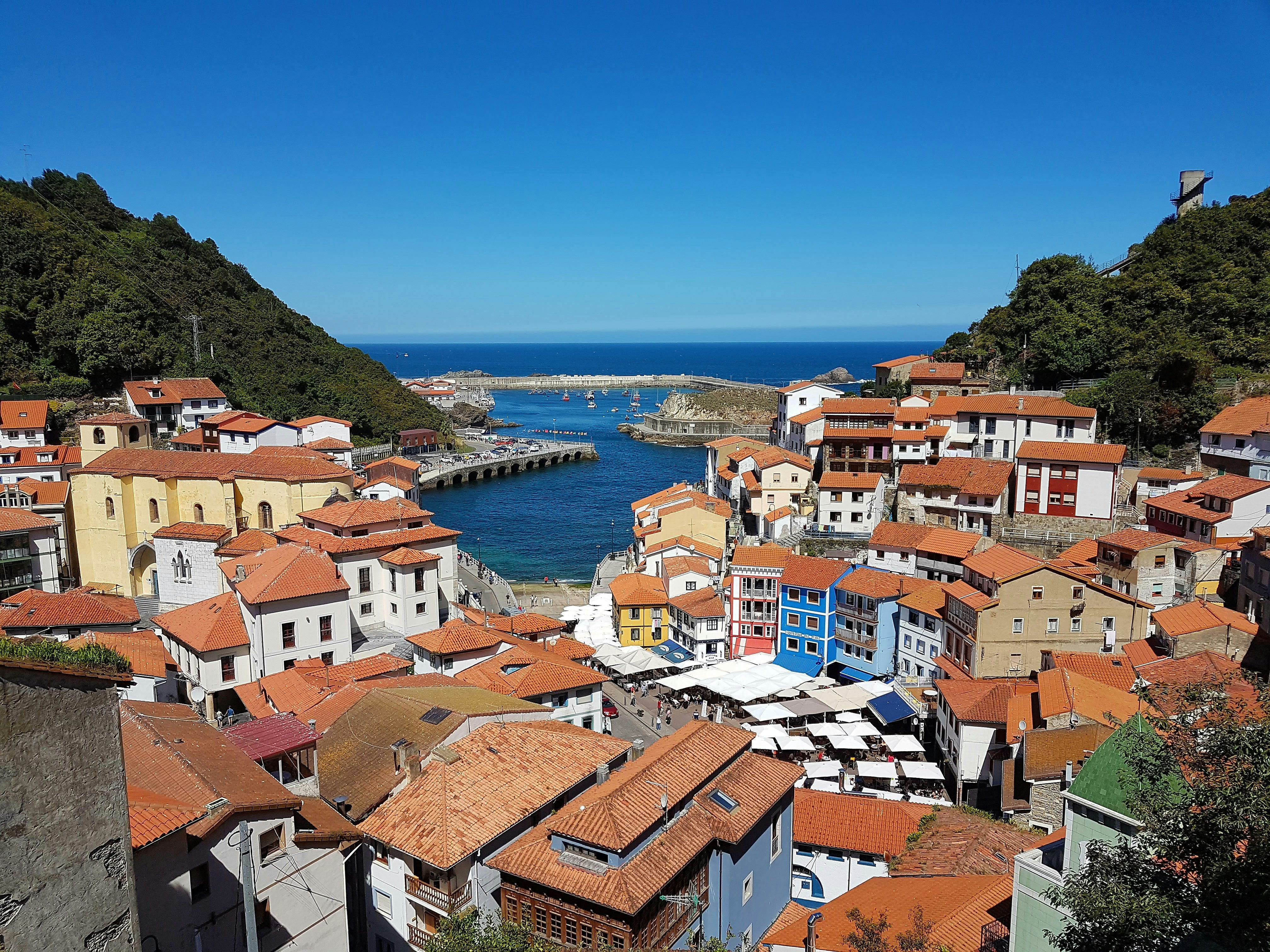 An illustrative photo of houses on a coast in a body of water