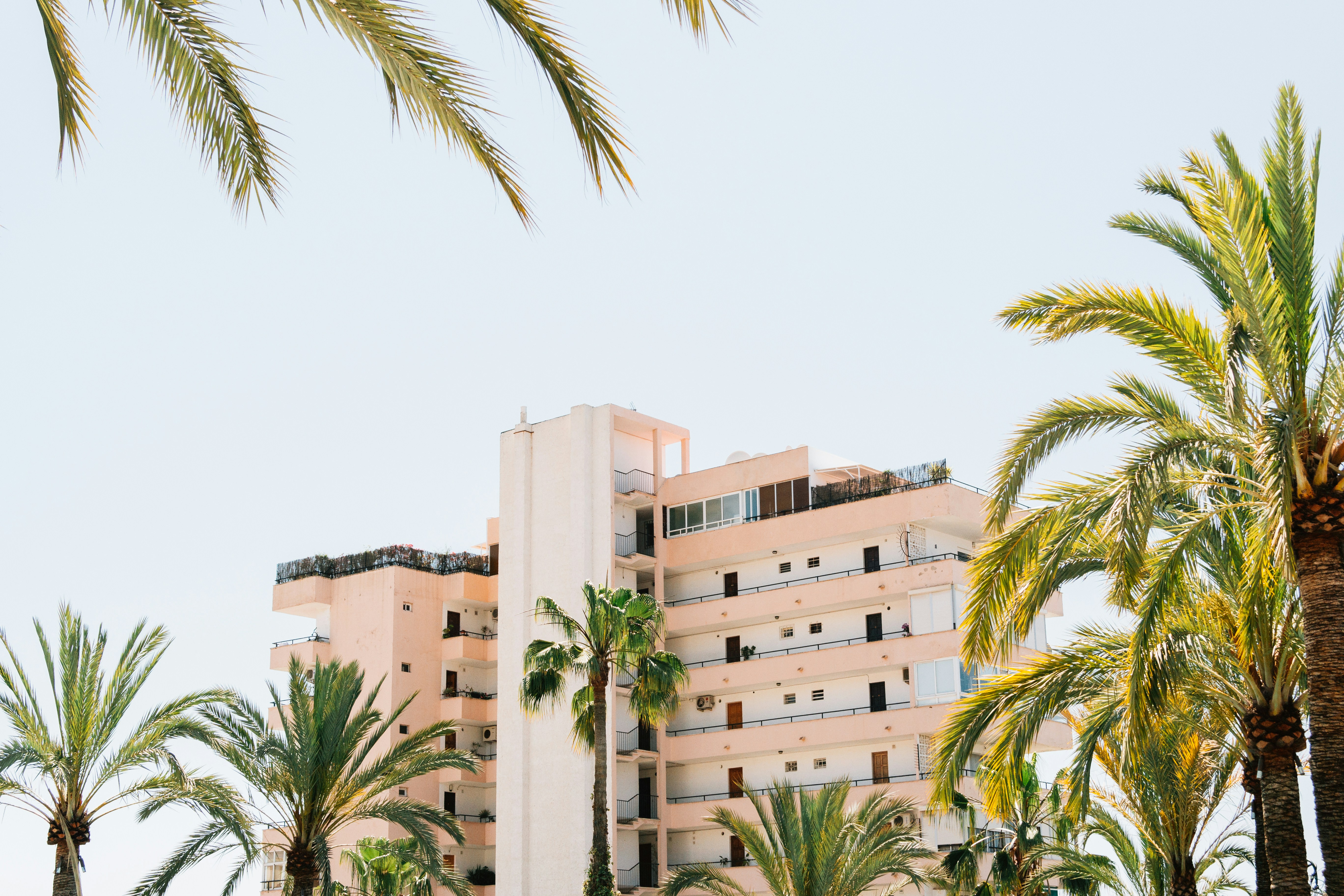 An illustrative photo of a white concrete building beside green palm tree