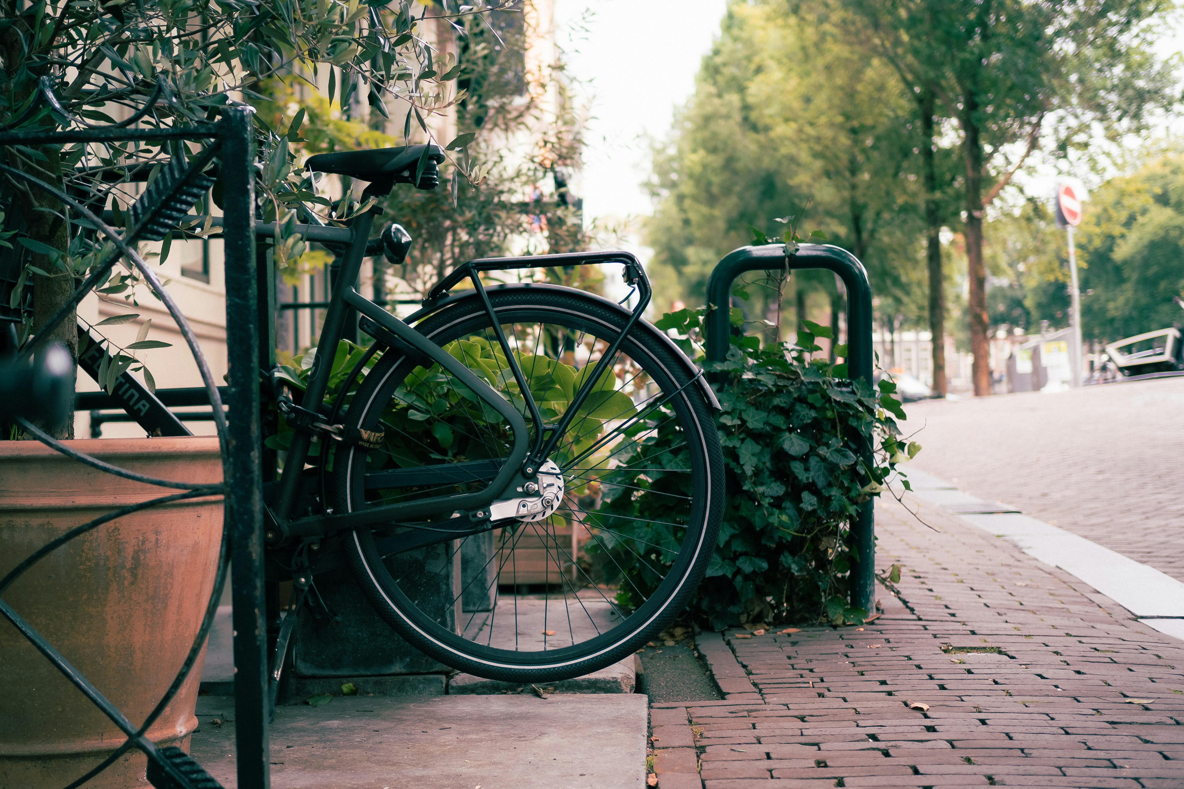 An illustrative photo of a bicycle parked next to a potted plant on a sidewalk.