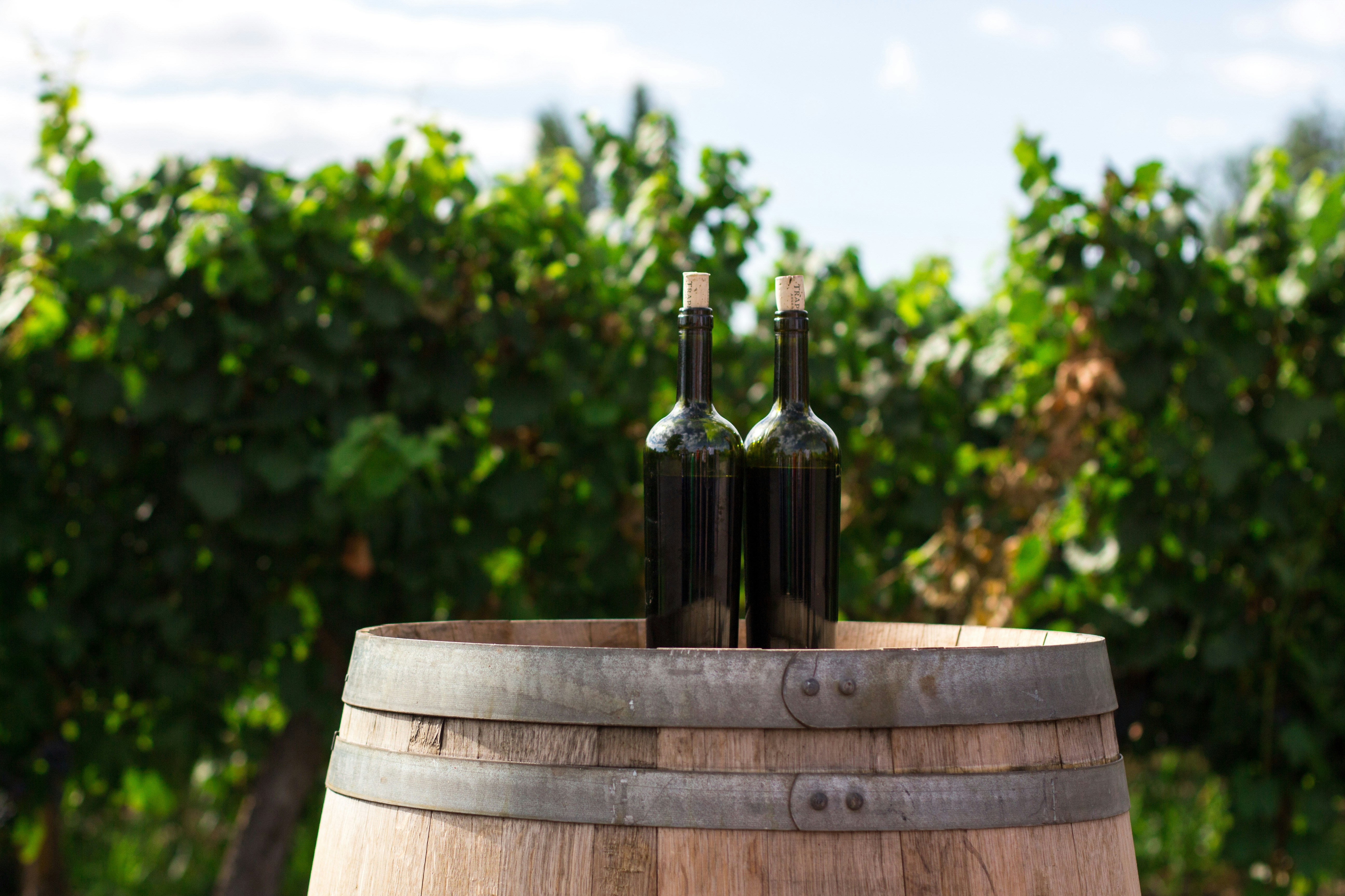 An illustrative photo of two bottles of wine on the top of the brown wooden barrel.