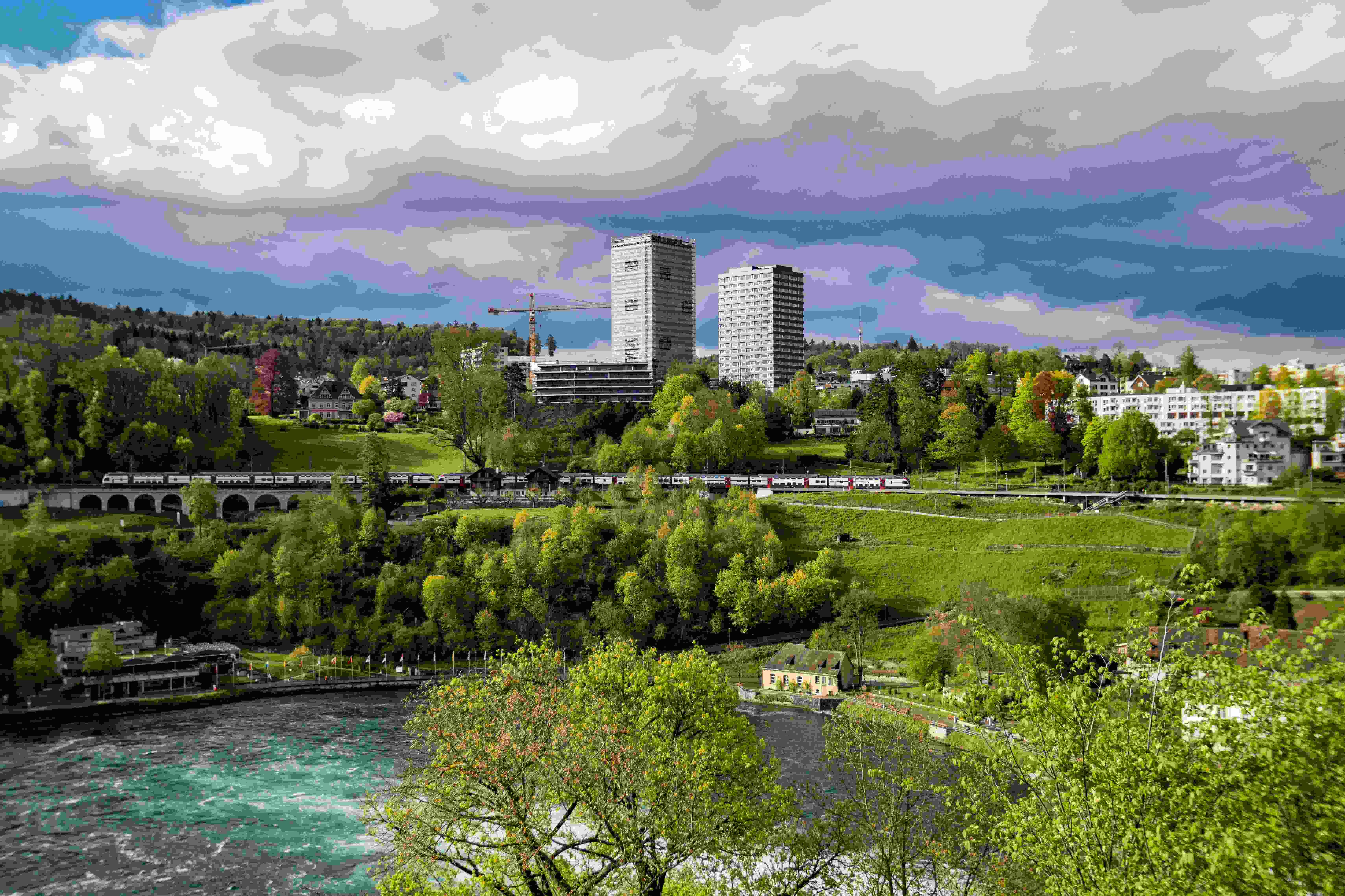 An illustrative photo of a river running through a green forest with high-rise buildings in the background.