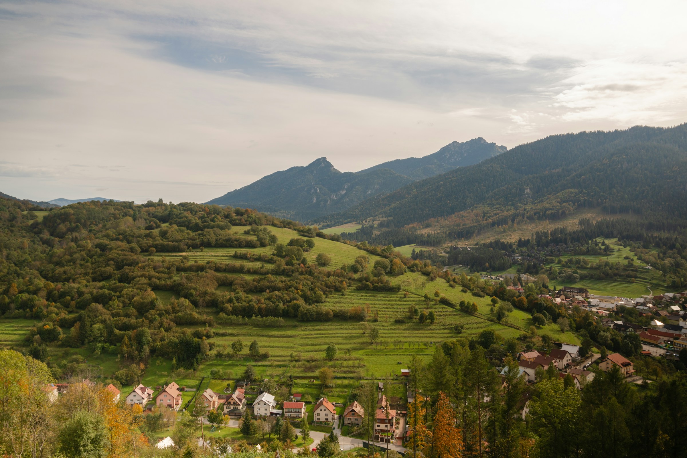 An illustrative photo of a field with green grass and trees on a mountain.