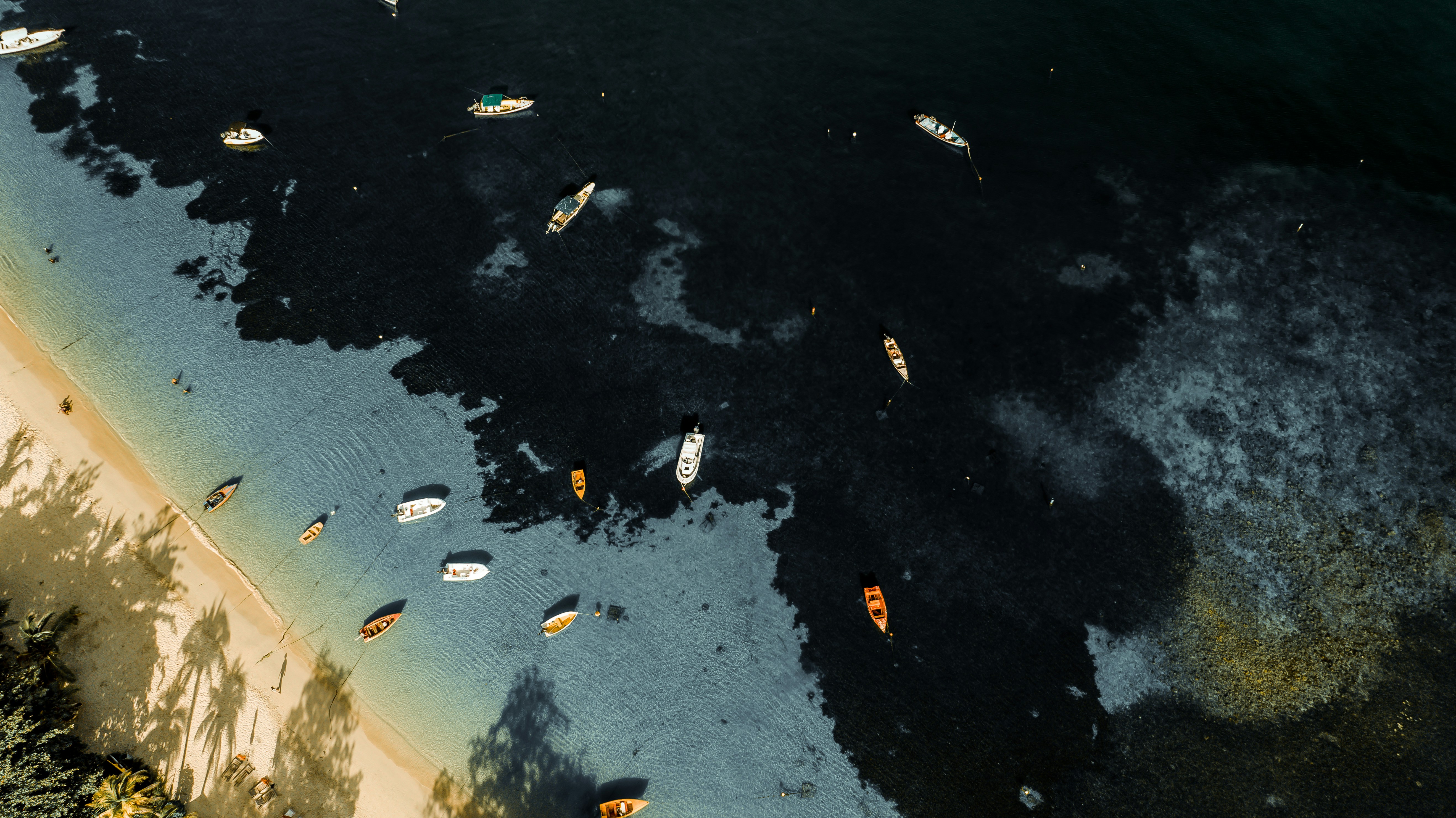 An illustrative photo of boats in a body of water near a beach.