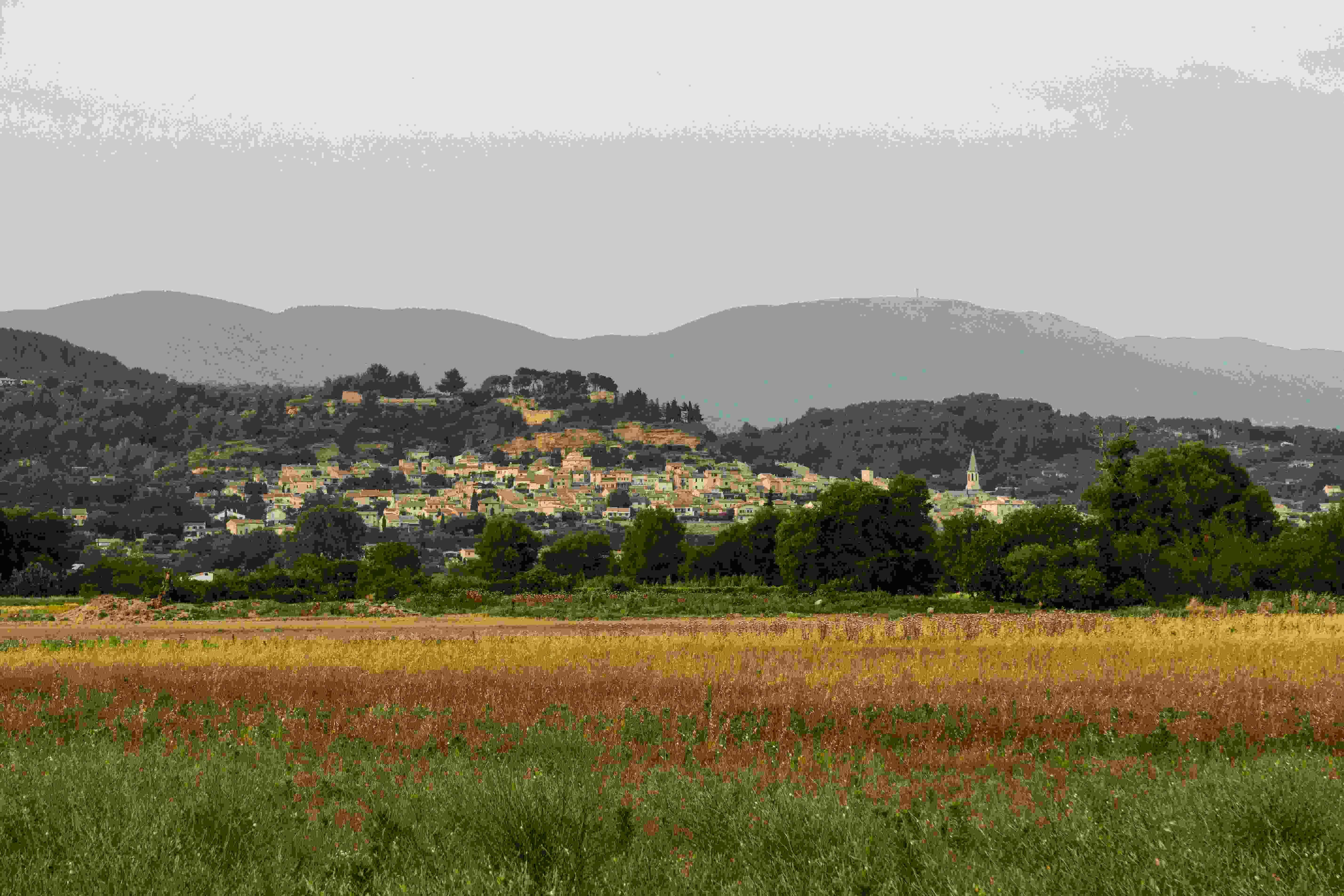 Image by Unsplash An illustrative photo of a field of grass with a city in the background.