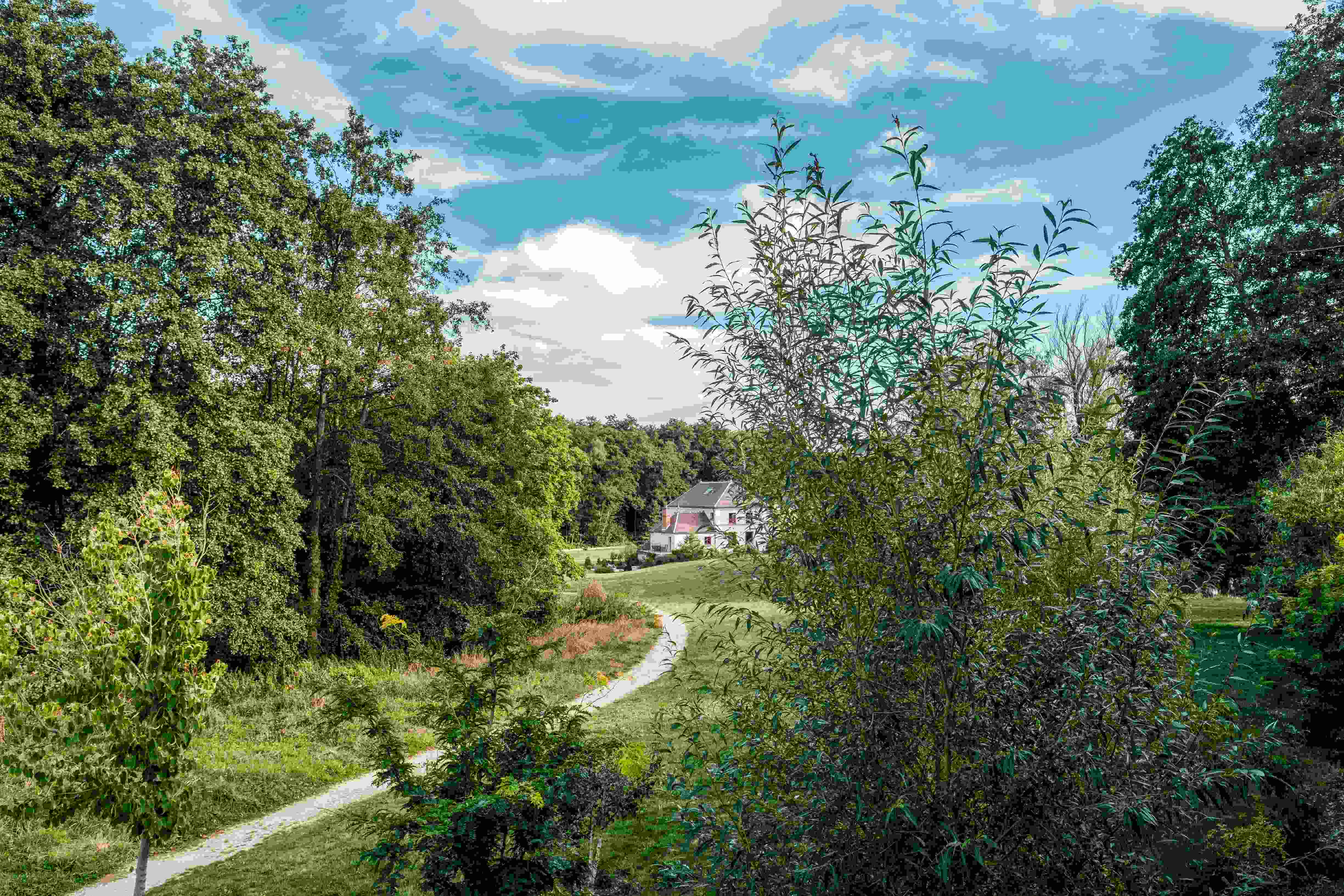 An illustrative photo of a path through a lush green forest next to a house.