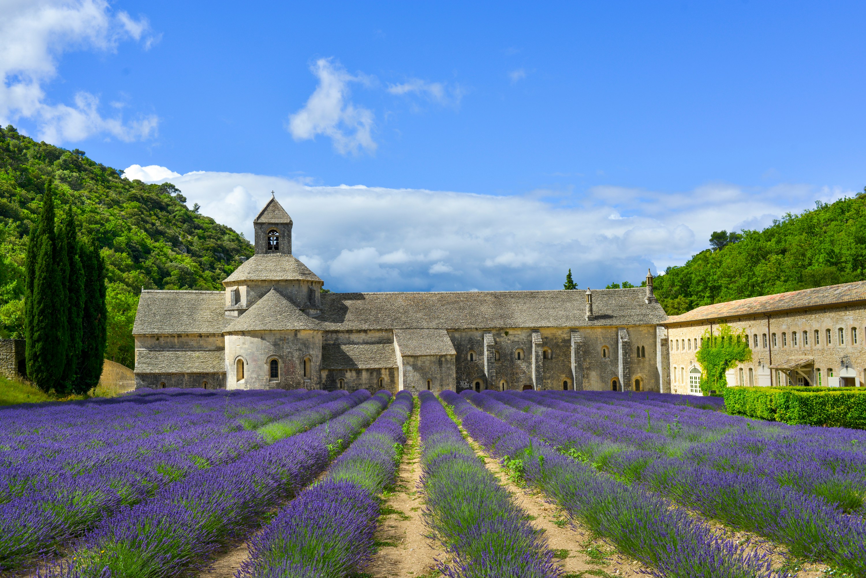 Photo by Unsplash An illustrative photo of a lavender field with a church in the background.